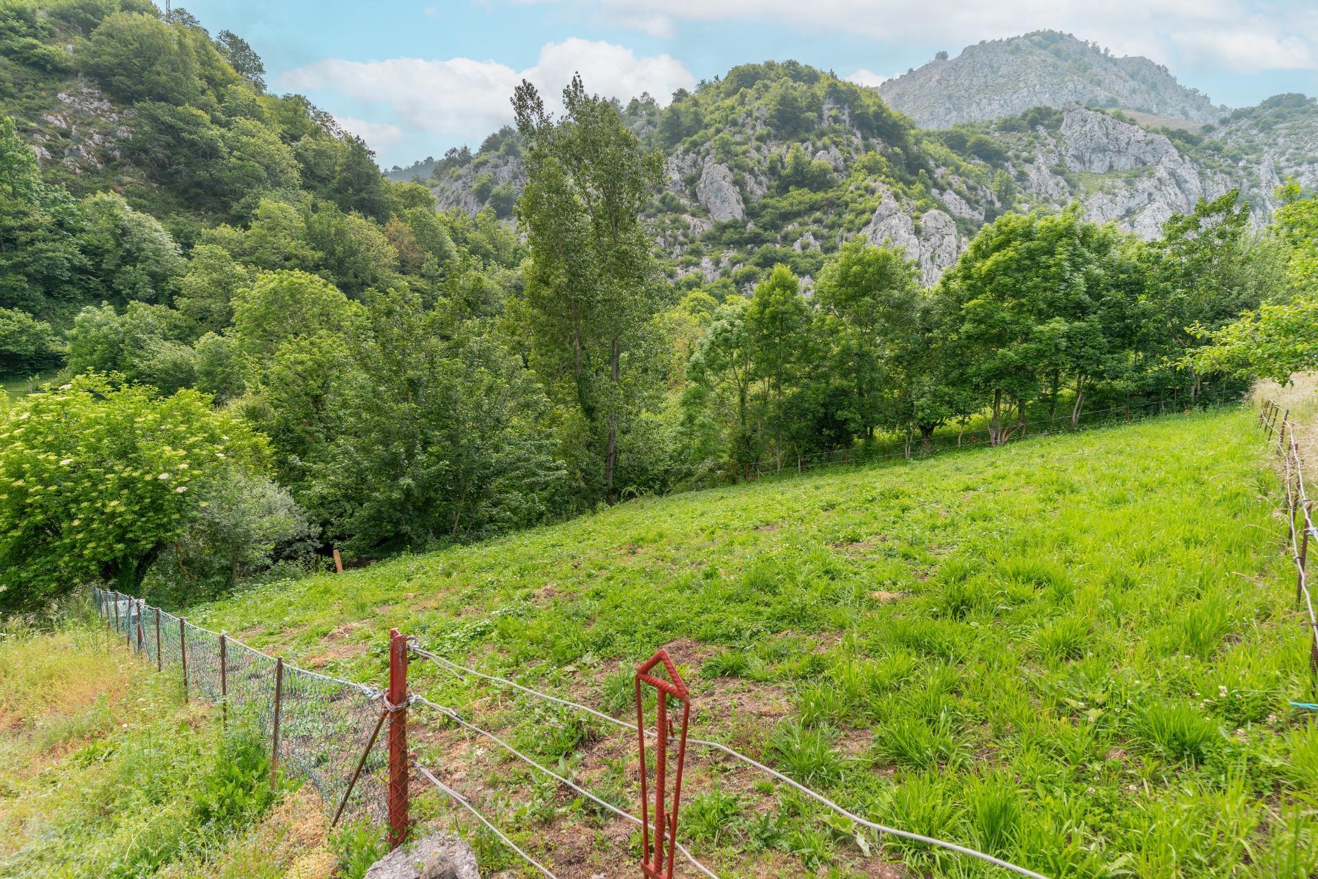 Casas o chalets-Venta-Teverga-1151027-Foto-13