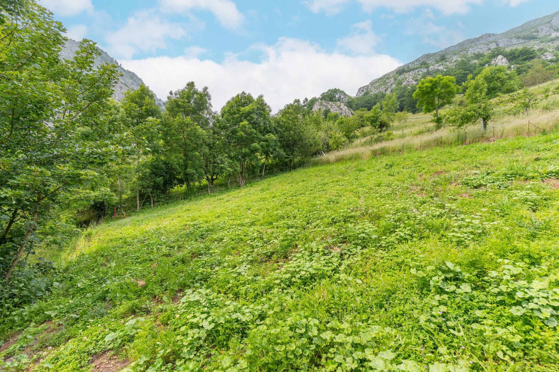 Casas o chalets-Venta-Teverga-1151027-Foto-14