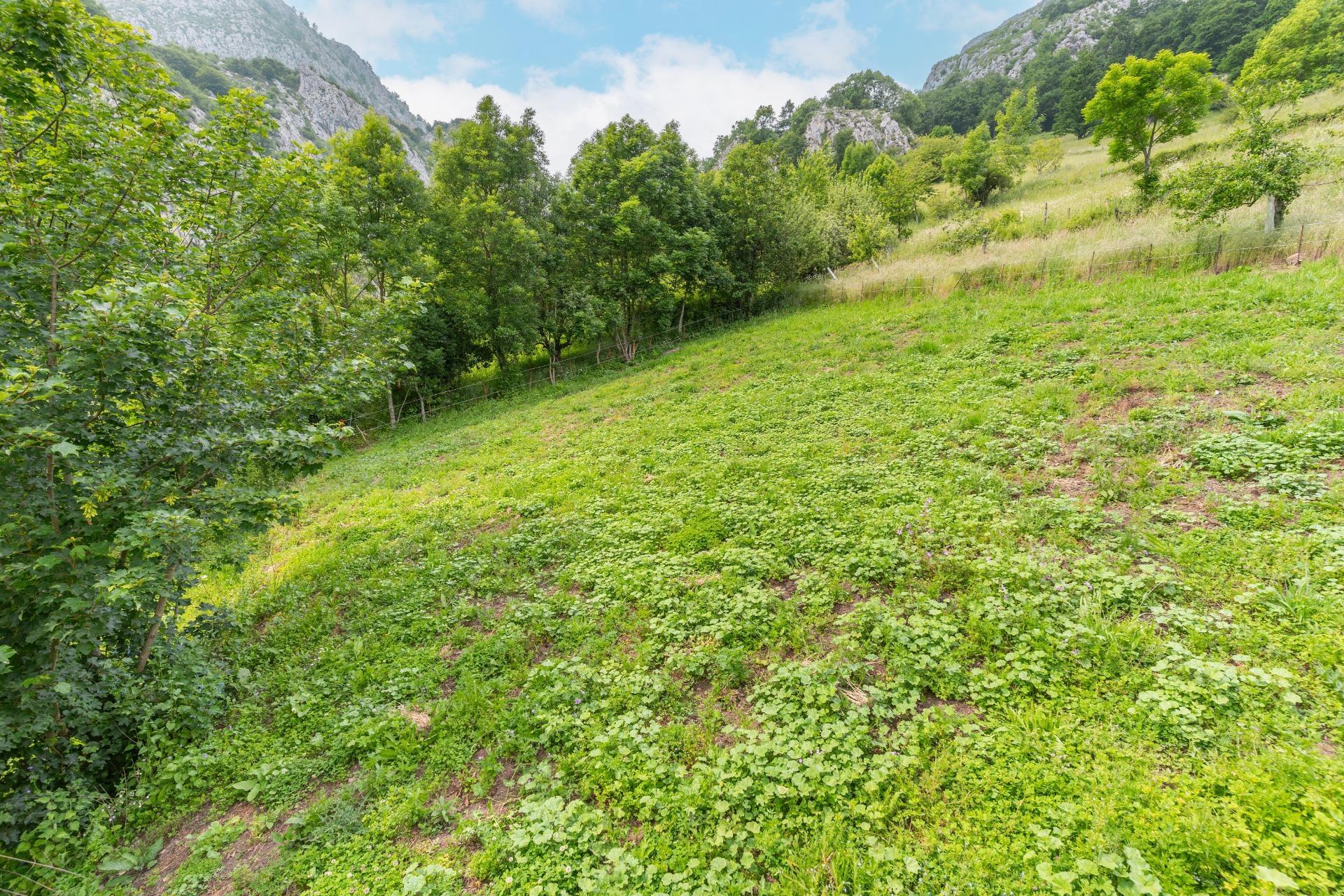 Casas o chalets-Venta-Teverga-1151027-Foto-15