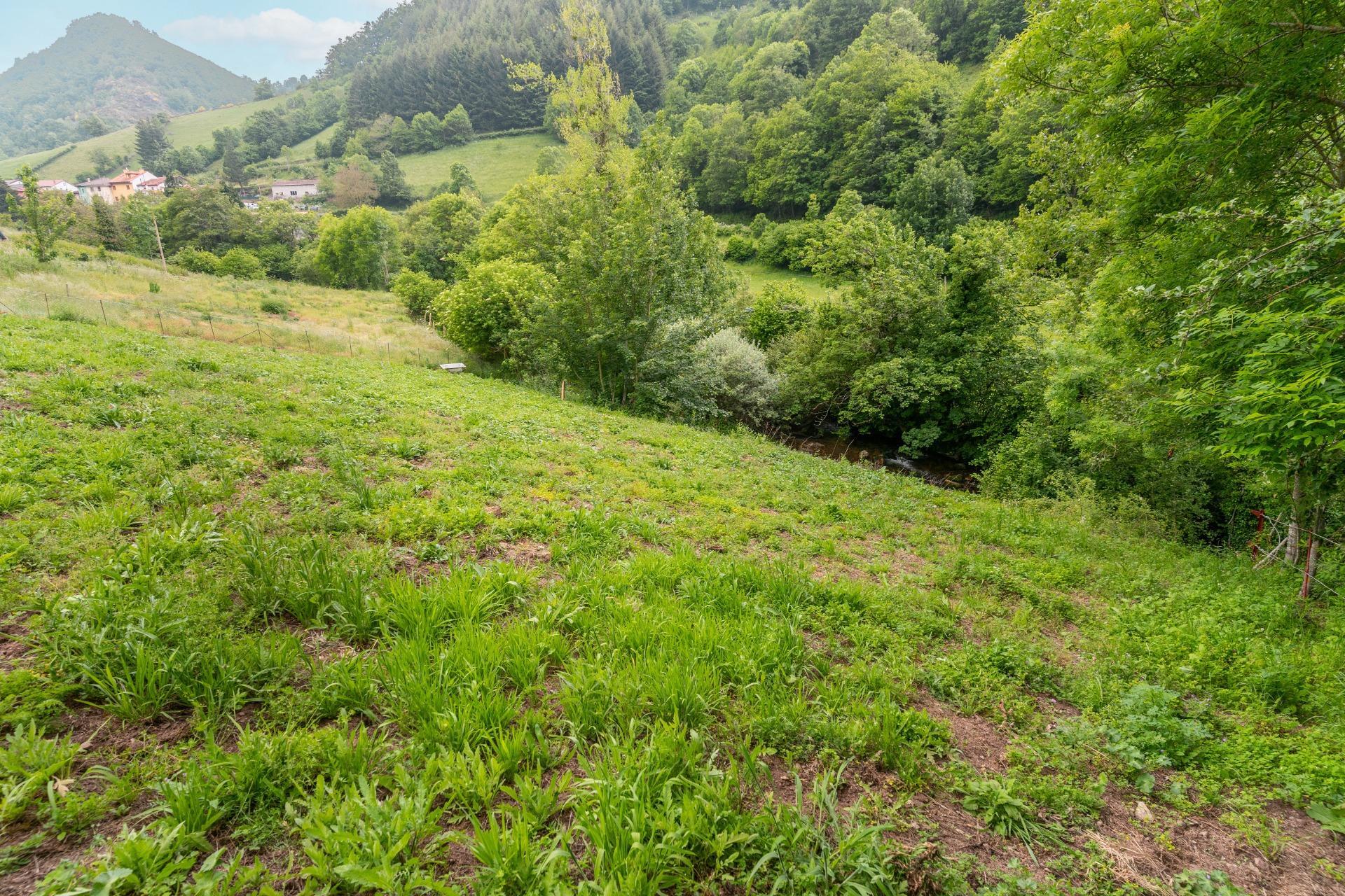 Casas o chalets-Venta-Teverga-1151027-Foto-24