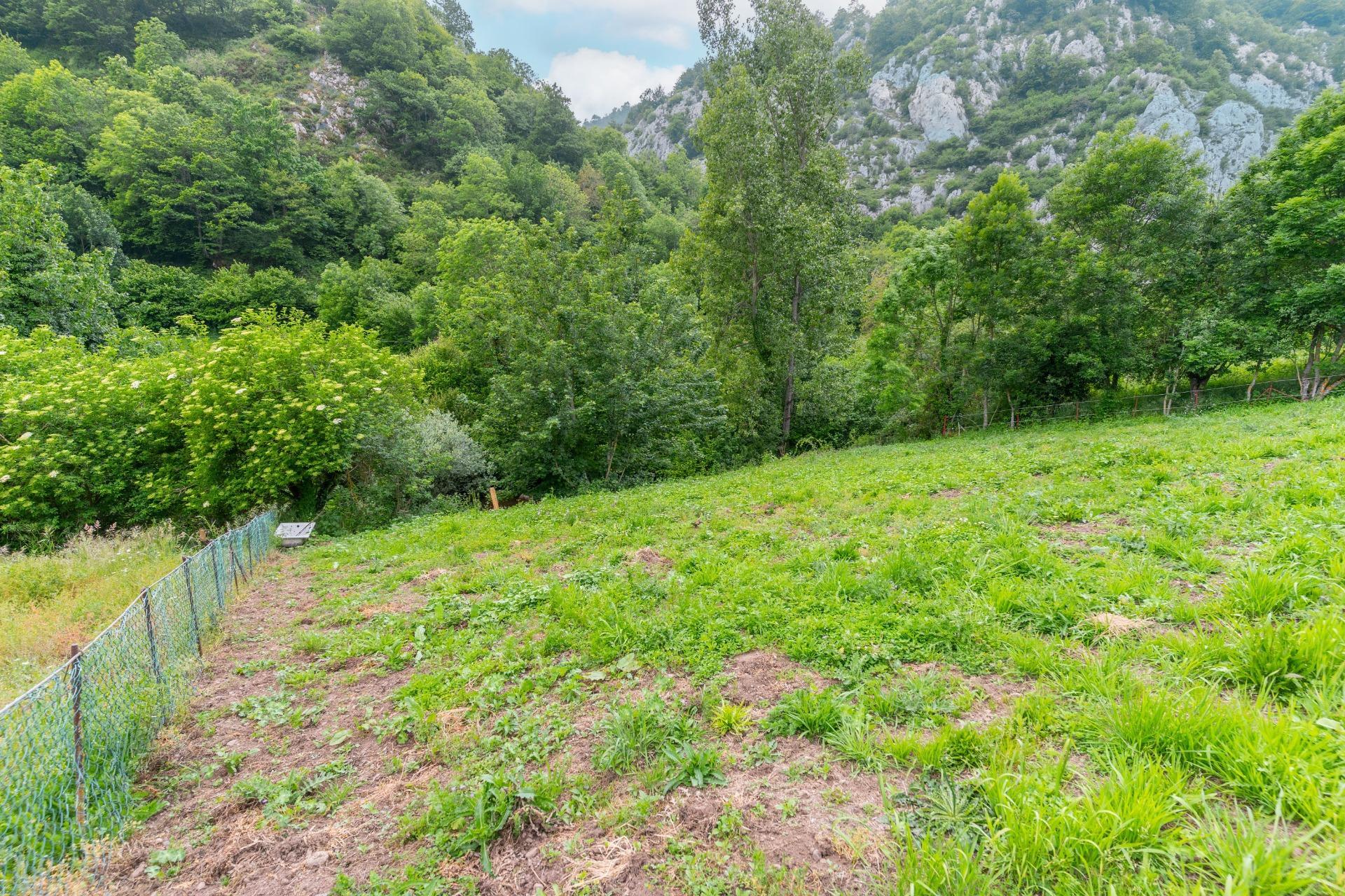 Casas o chalets-Venta-Teverga-1151027-Foto-20