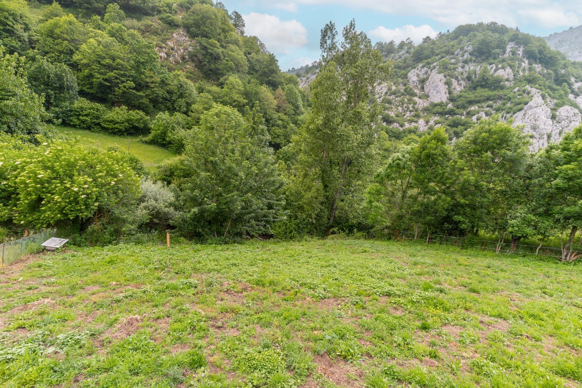 Casas o chalets-Venta-Teverga-1151027-Foto-22