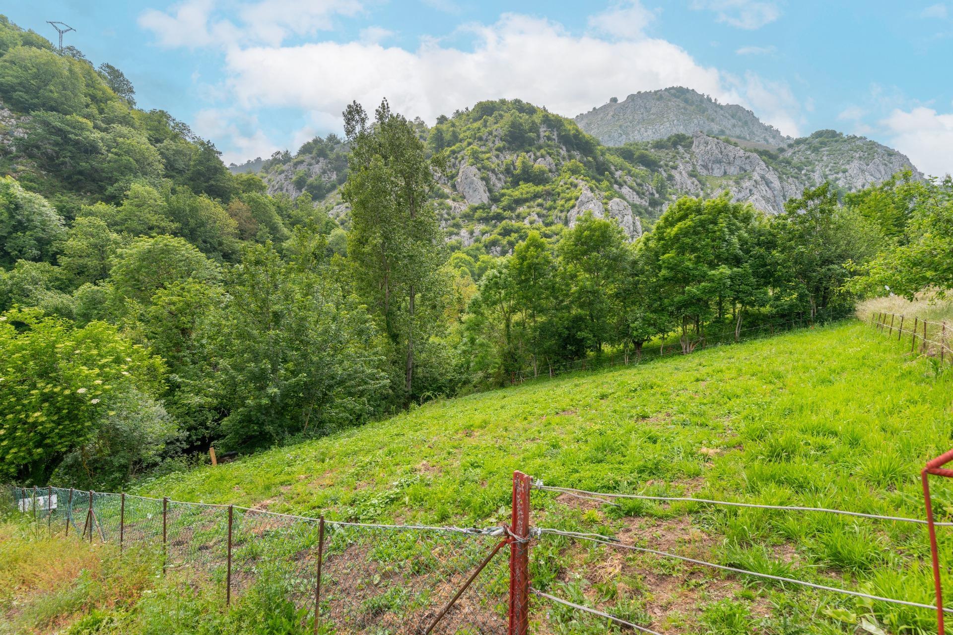 Casas o chalets-Venta-Teverga-1151027-Foto-19