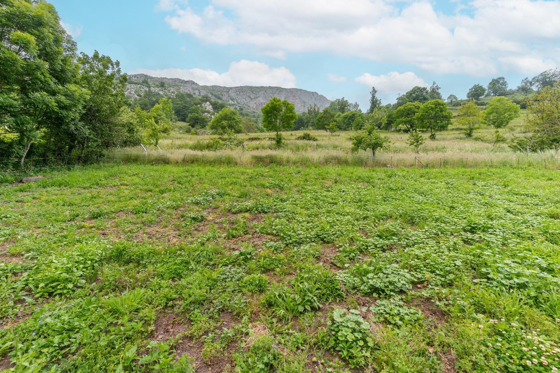 Casas o chalets-Venta-Teverga-1151027-Foto-27