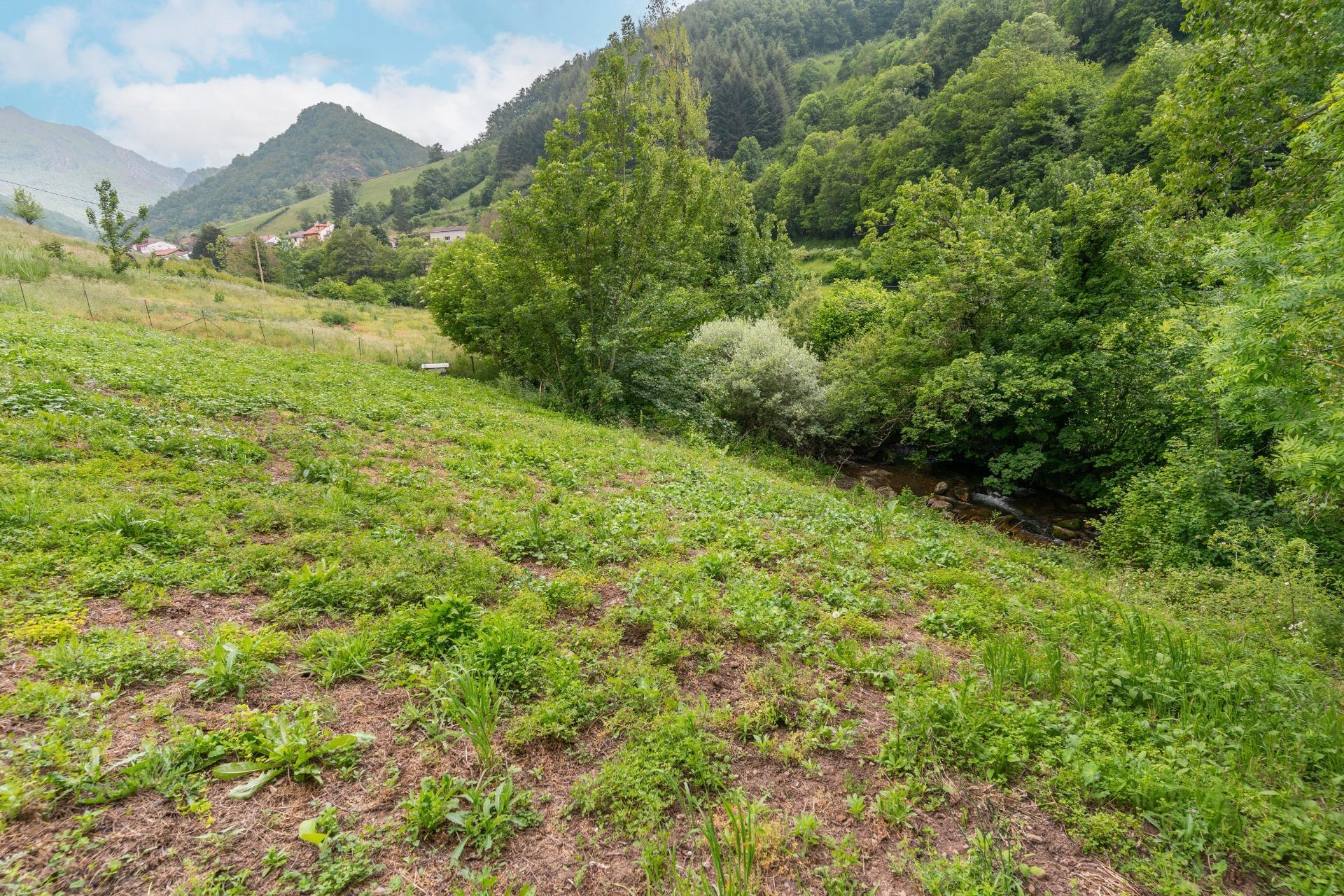 Casas o chalets-Venta-Teverga-1151027-Foto-25