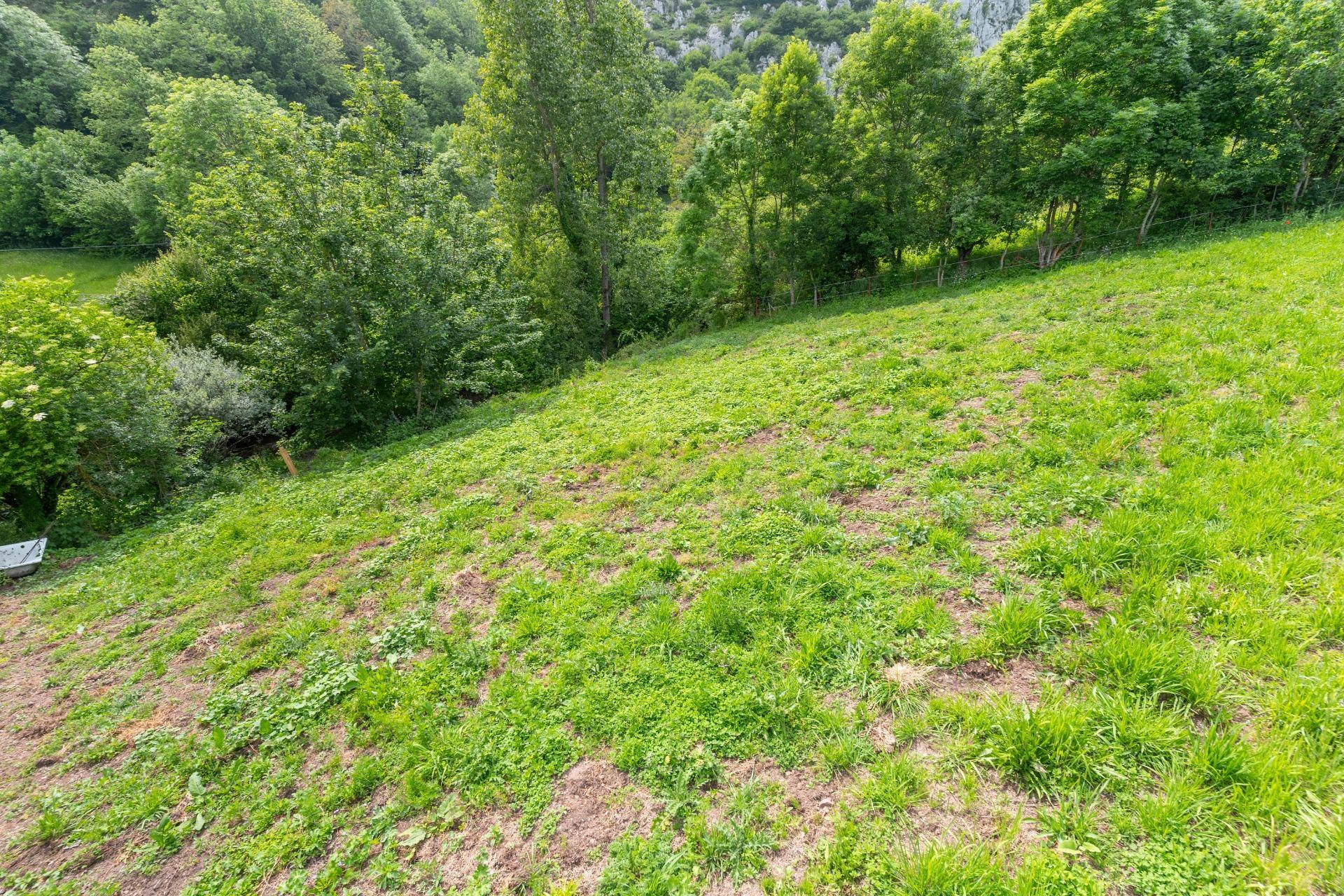 Casas o chalets-Venta-Teverga-1151027-Foto-30