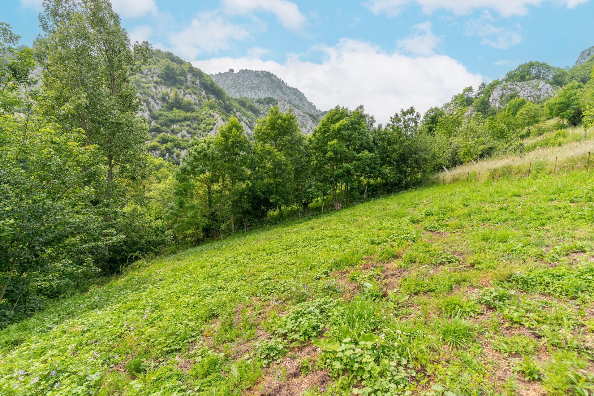 Casas o chalets-Venta-Teverga-1151027-Foto-29