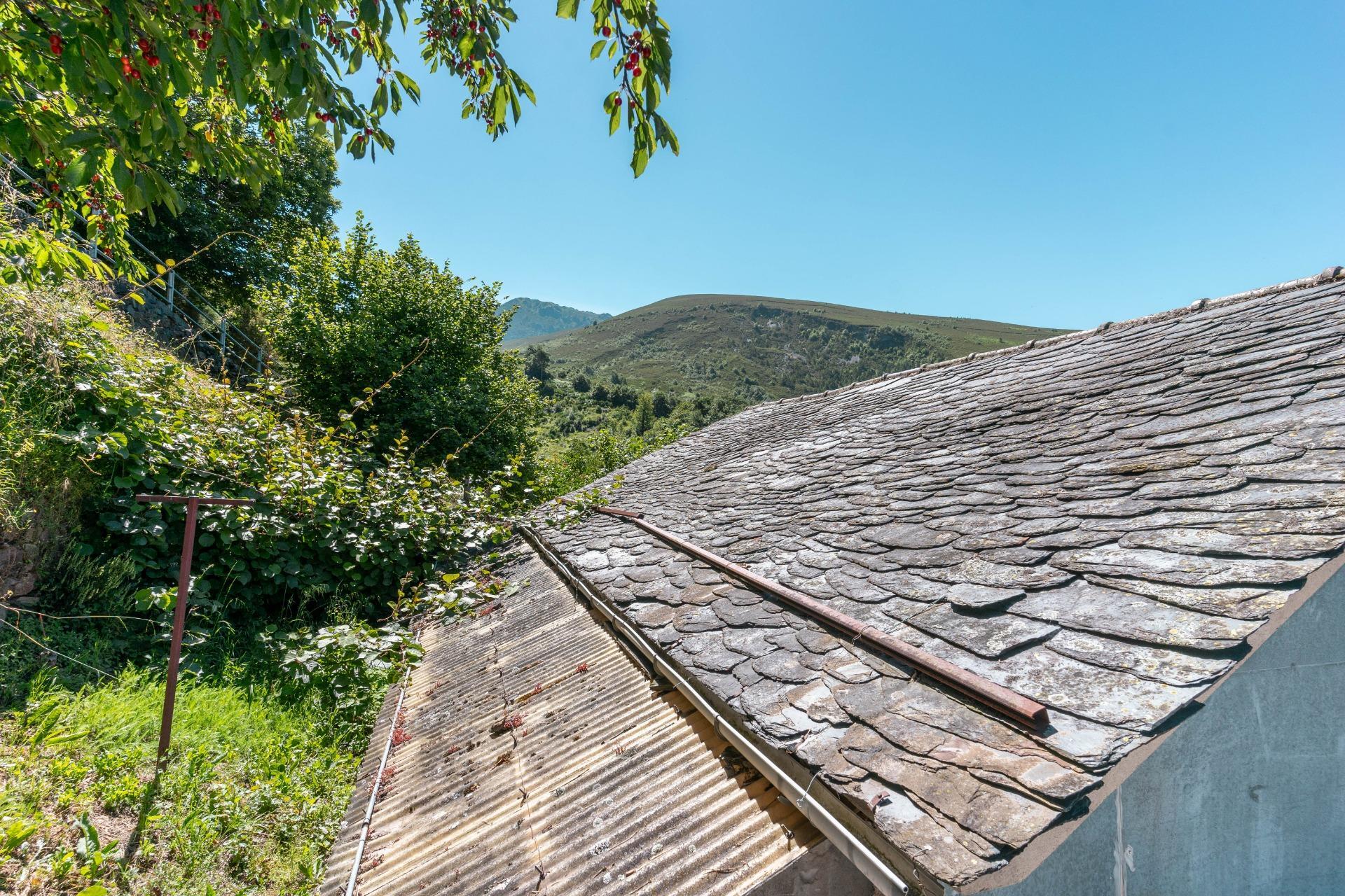 Casas o chalets-Venta-Ibias-1355664-Foto-27