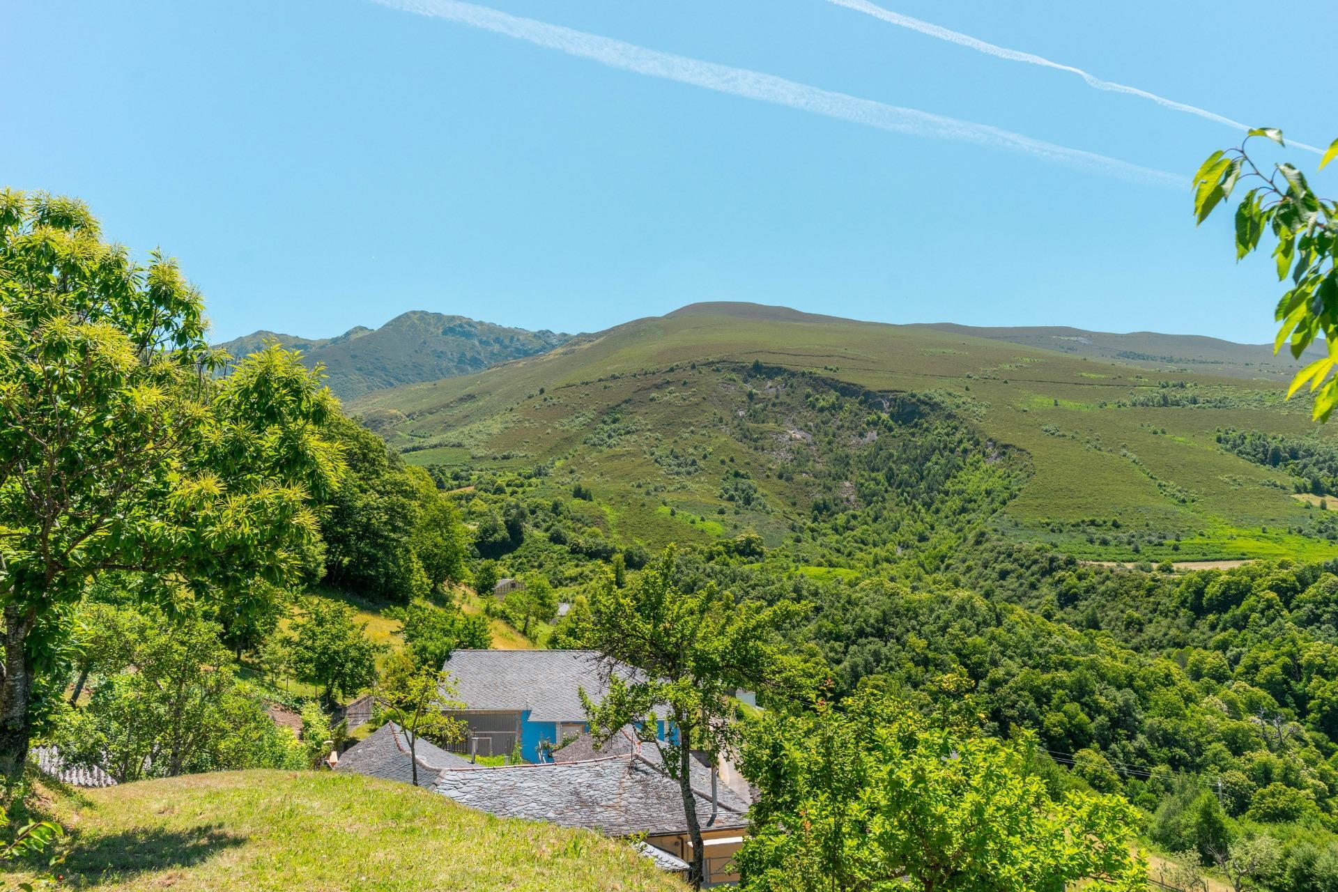 Casas o chalets-Venta-Ibias-1355664-Foto-50