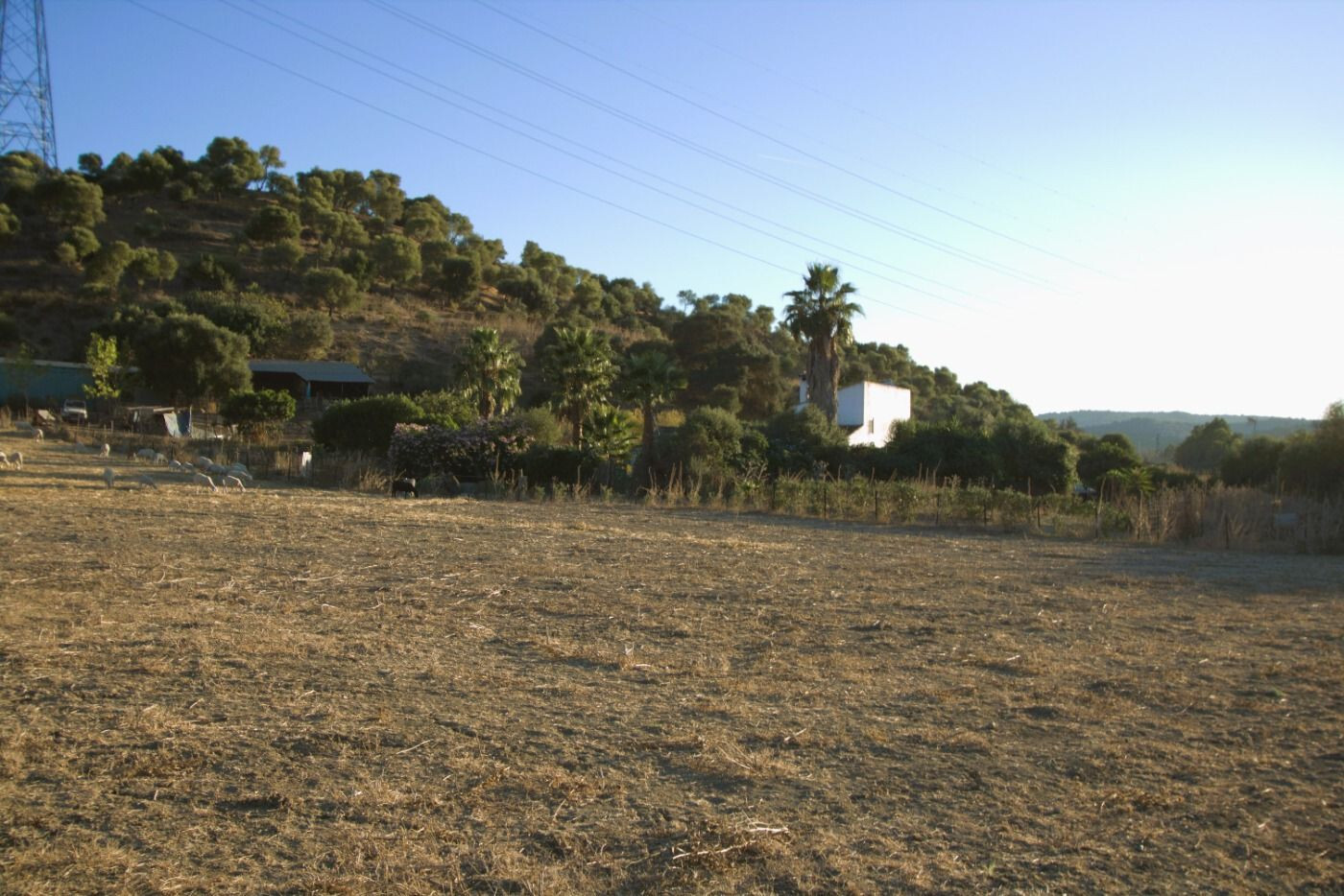 Montenegral Alto, Jimena de la Frontera, Cádiz