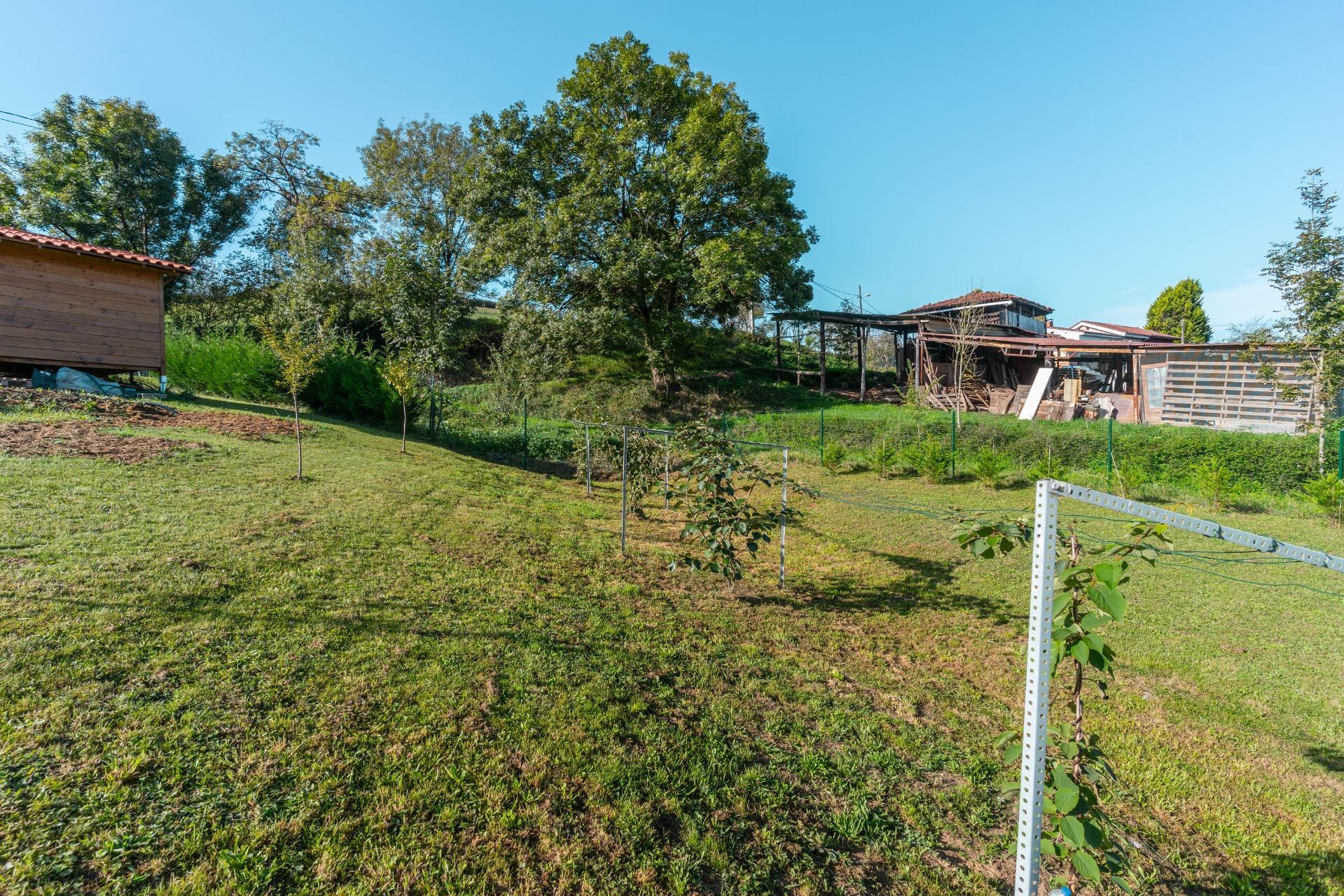 Fincas y solares-Venta-Oviedo-988651-Foto-19