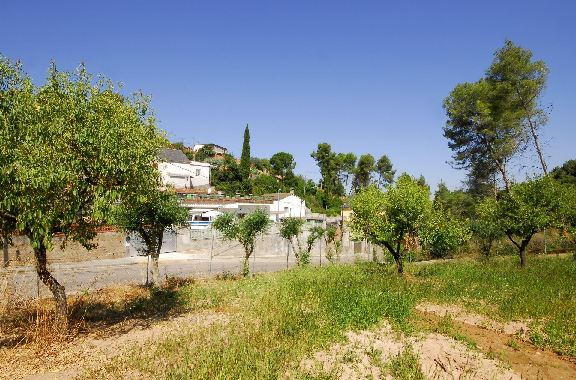 Fincas y solares-Venta-Cabrera d
