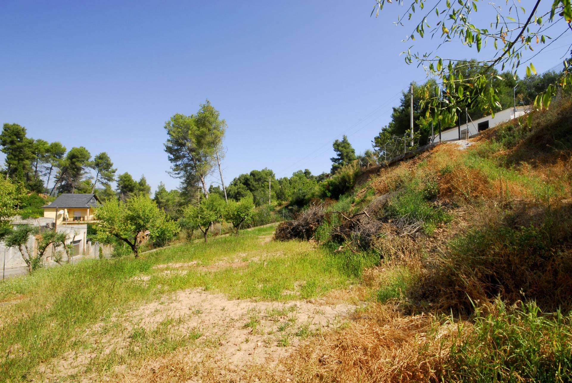 Fincas y solares-Venta-Cabrera d