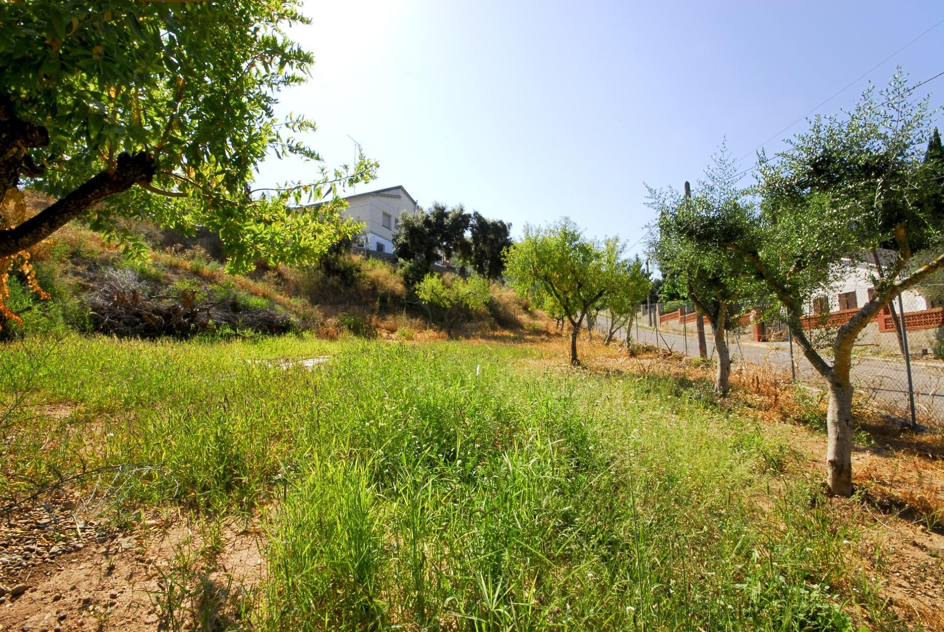 Fincas y solares-Venta-Cabrera d