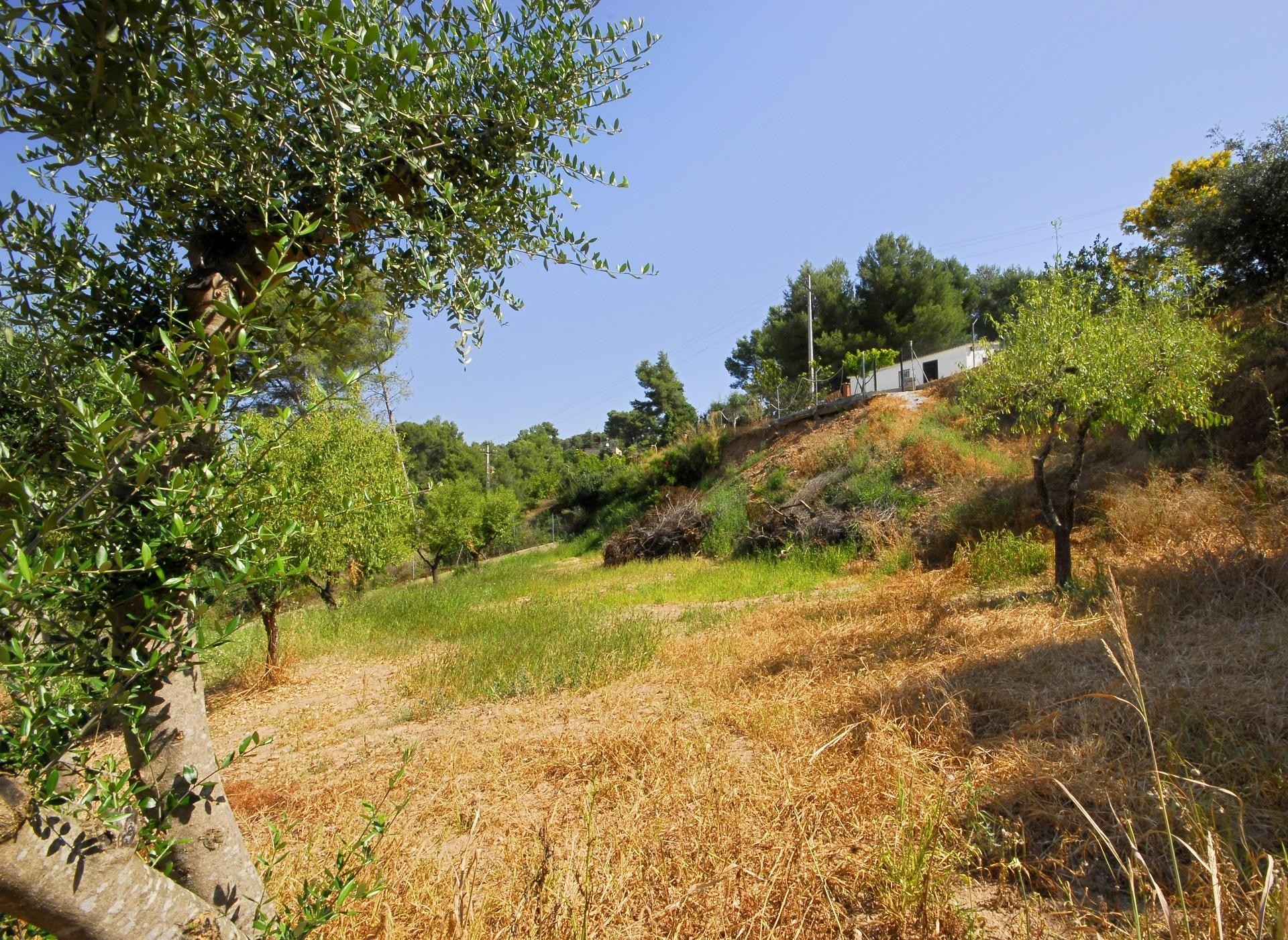 Fincas y solares-Venta-Cabrera d