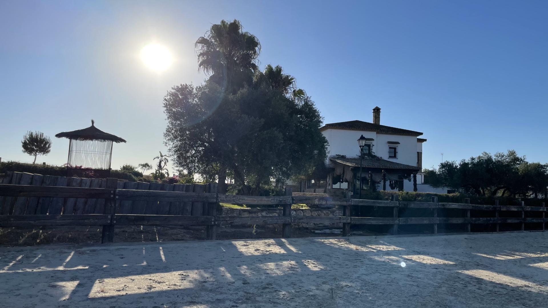 Pisos-Venta-Paterna del Campo-1174337-Foto-15