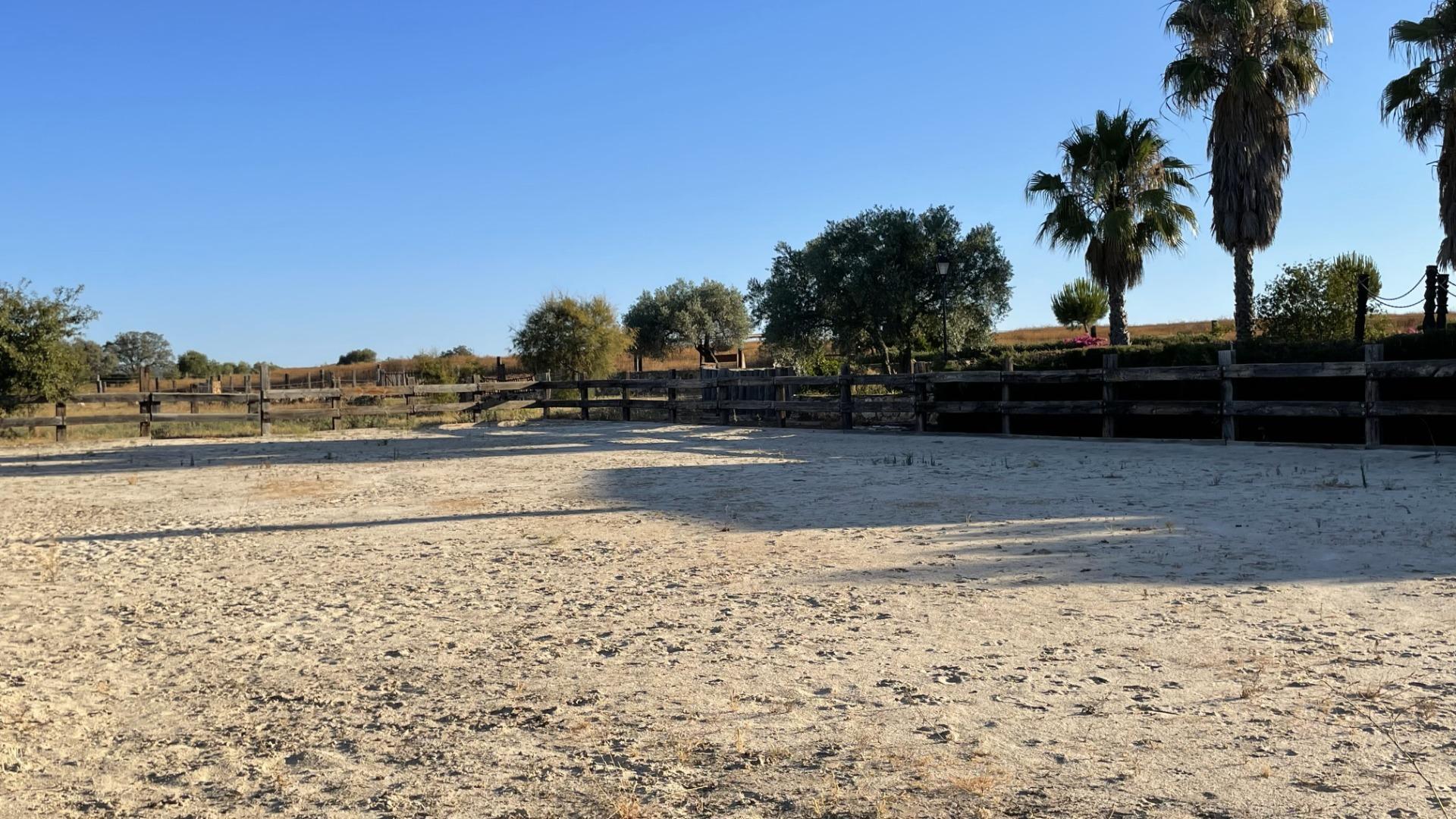 Pisos-Venta-Paterna del Campo-1174337-Foto-14