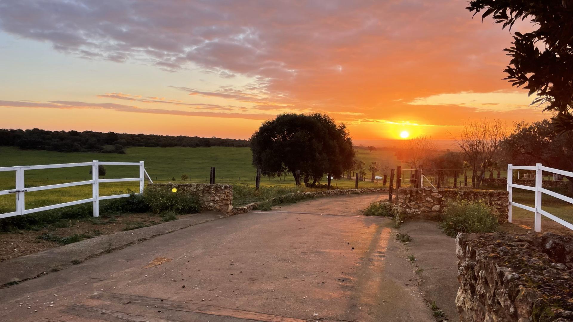 Pisos-Venta-Paterna del Campo-1174337-Foto-26