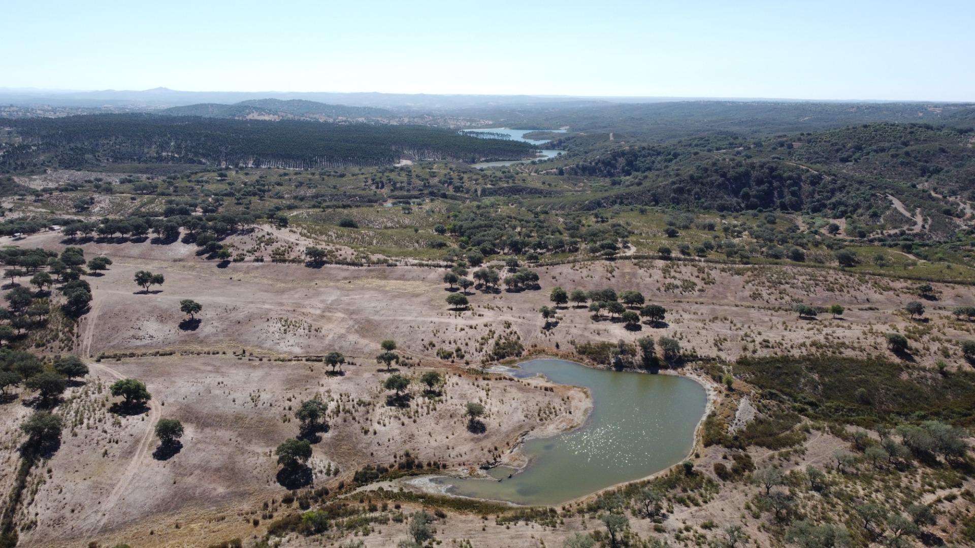 Fincas y solares-Venta-El Cerro de Andévalo-976901