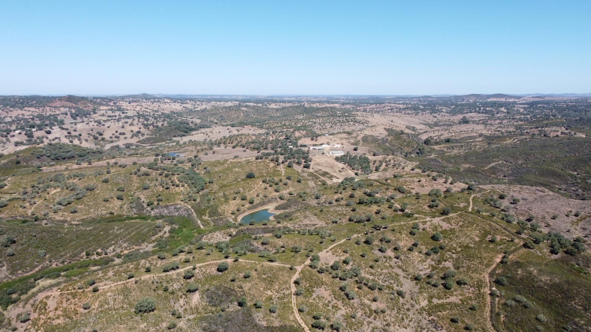 Fincas y solares-Venta-El Cerro de AndÃ©valo-976901-Foto-3
