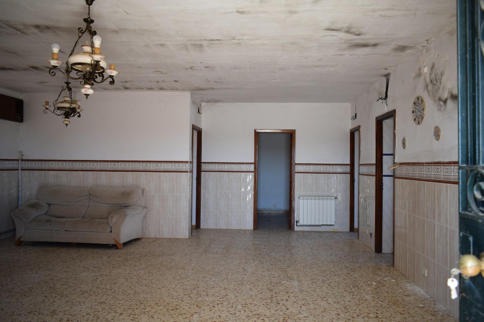 Fincas y solares-Venta-El Cerro de AndÃ©valo-976901-Foto-14