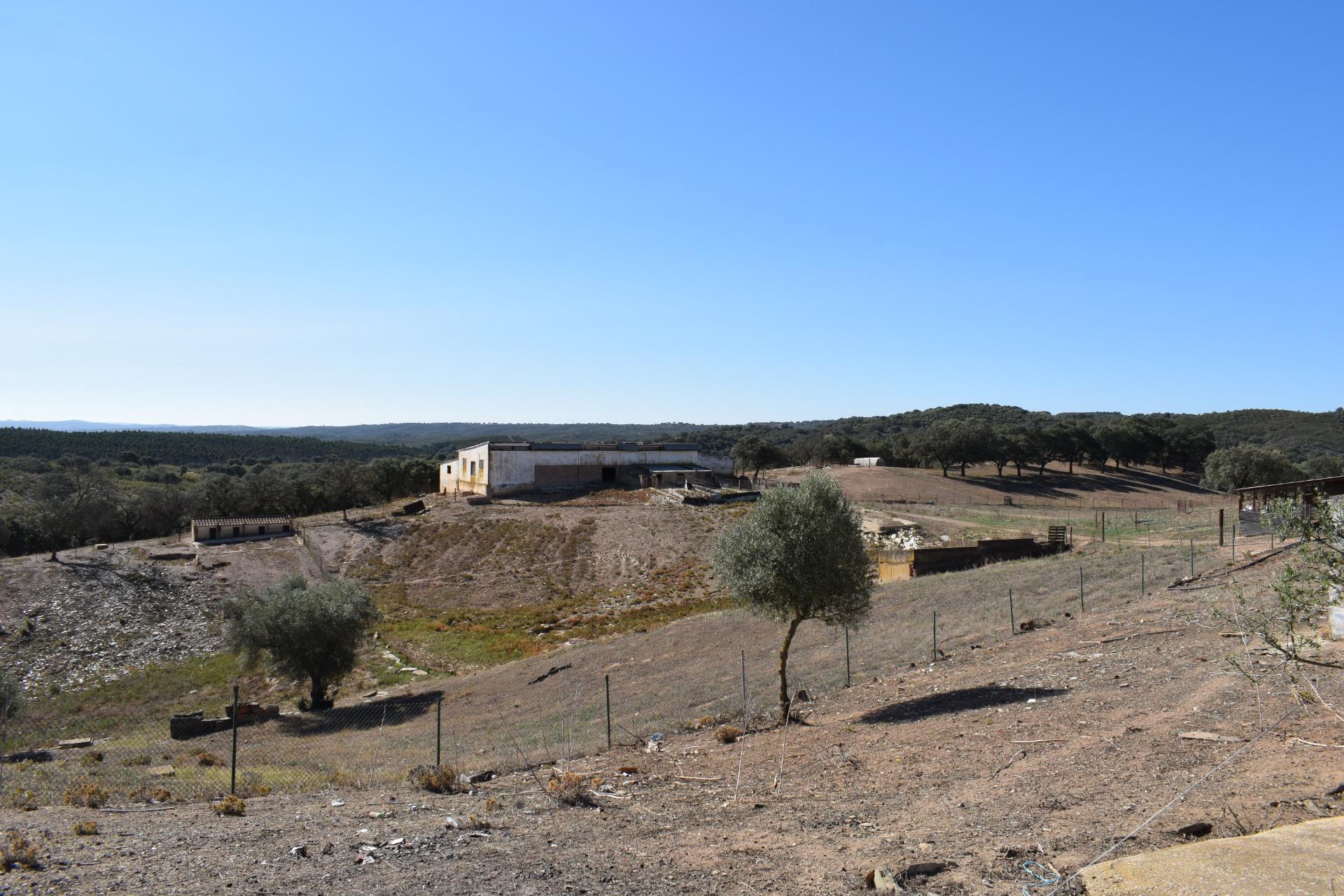 Fincas y solares-Venta-El Cerro de AndÃ©valo-976901-Foto-37