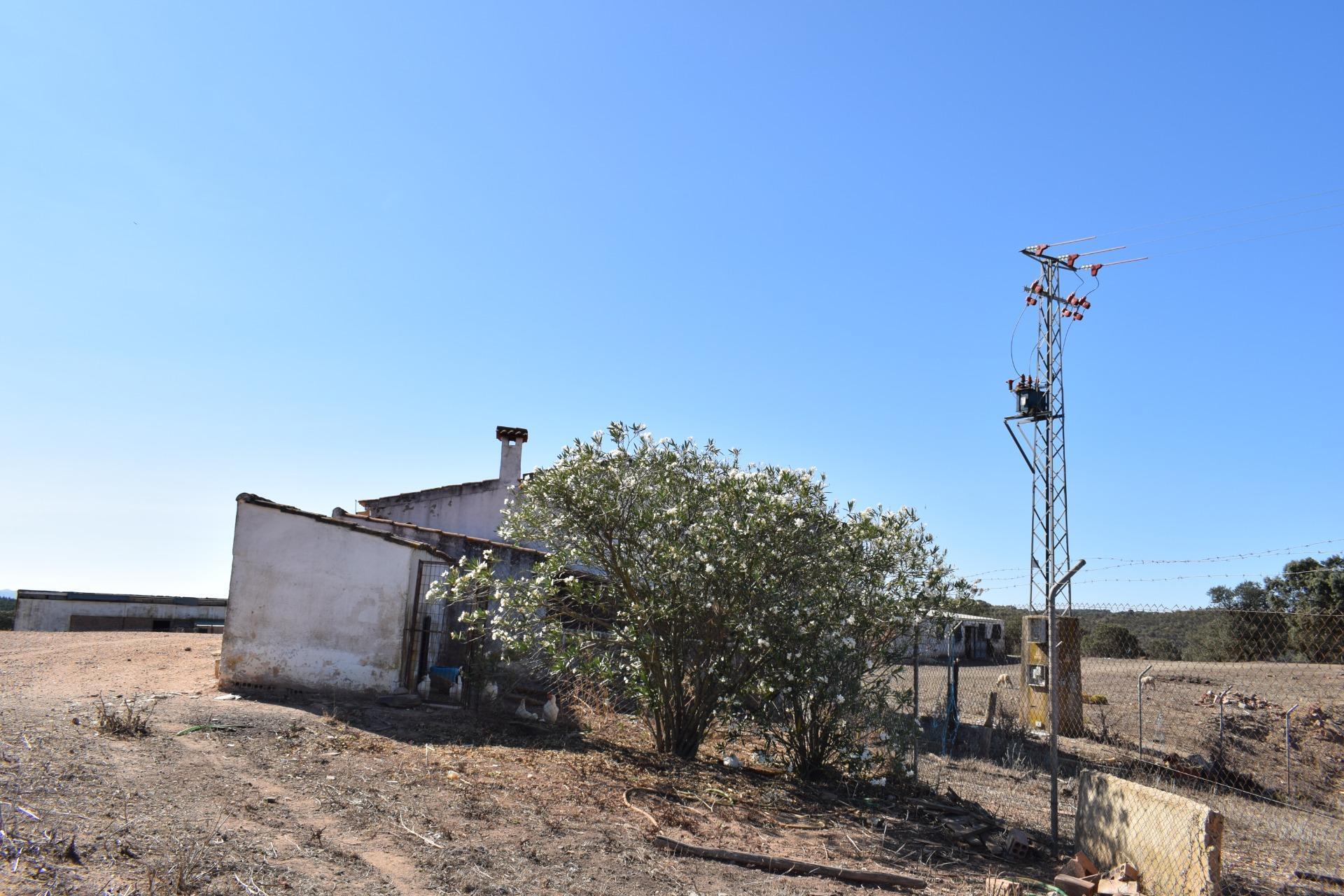 Fincas y solares-Venta-El Cerro de AndÃ©valo-976901-Foto-41