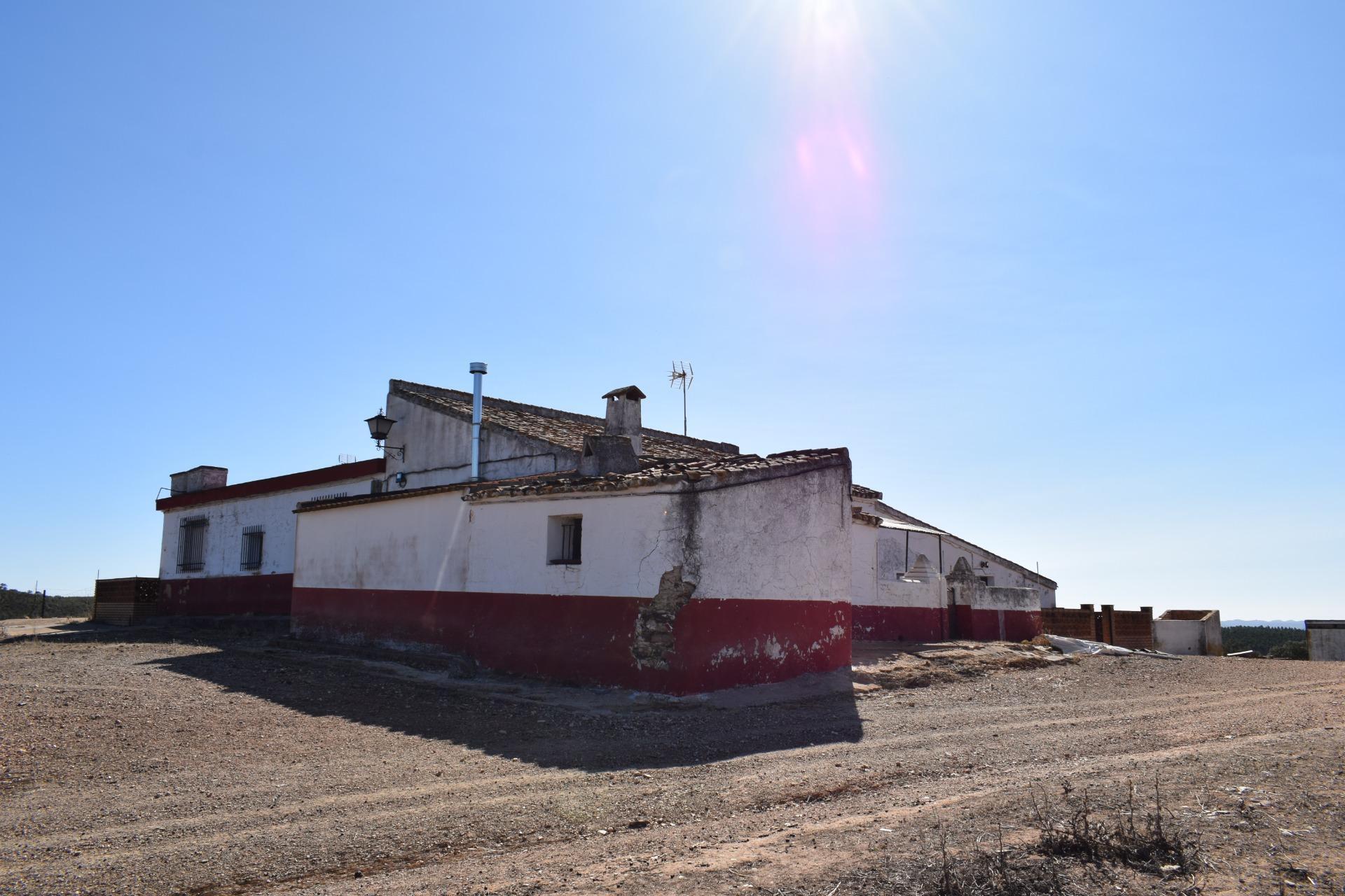Fincas y solares-Venta-El Cerro de AndÃ©valo-976901-Foto-40