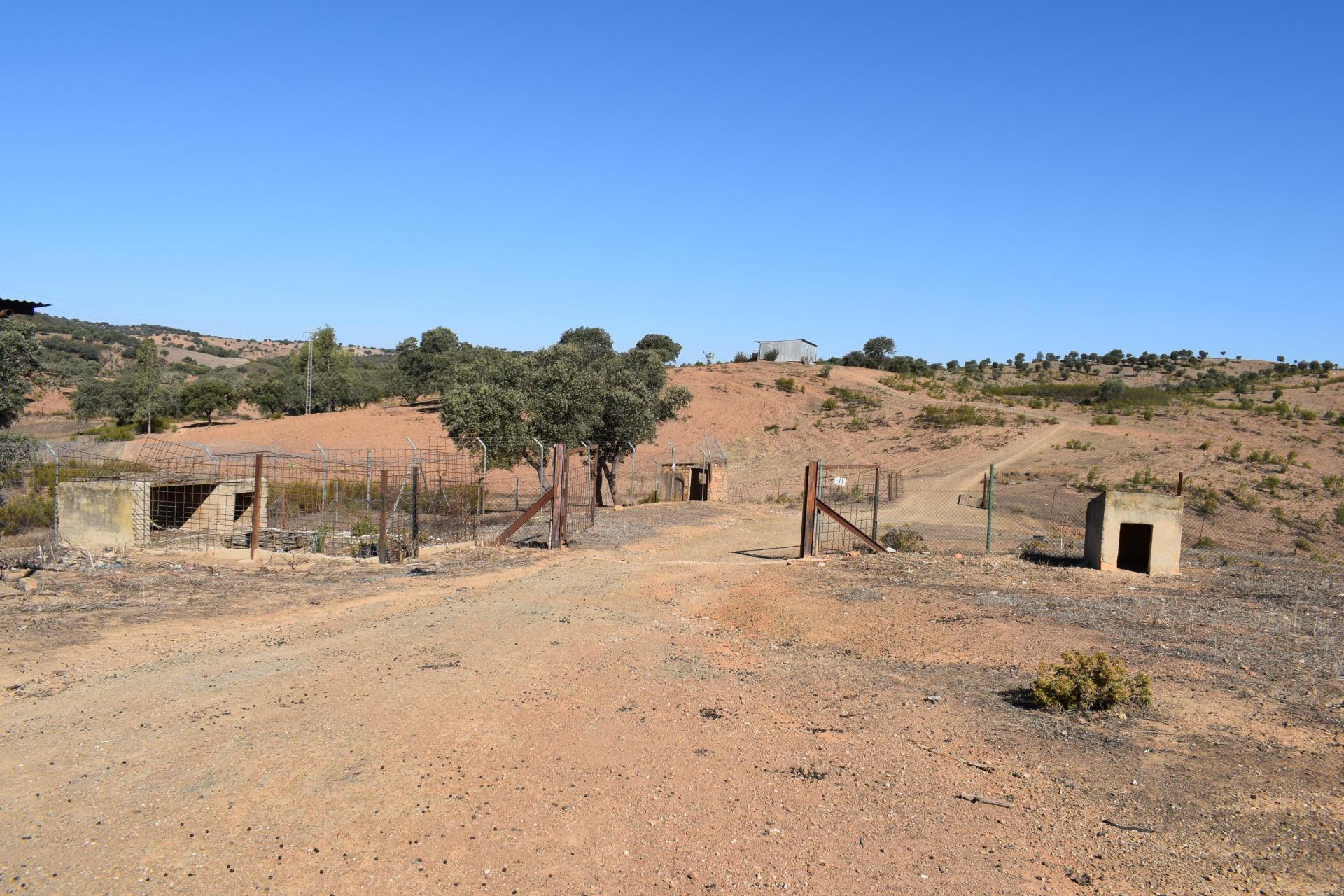 Fincas y solares-Venta-El Cerro de AndÃ©valo-976901-Foto-39