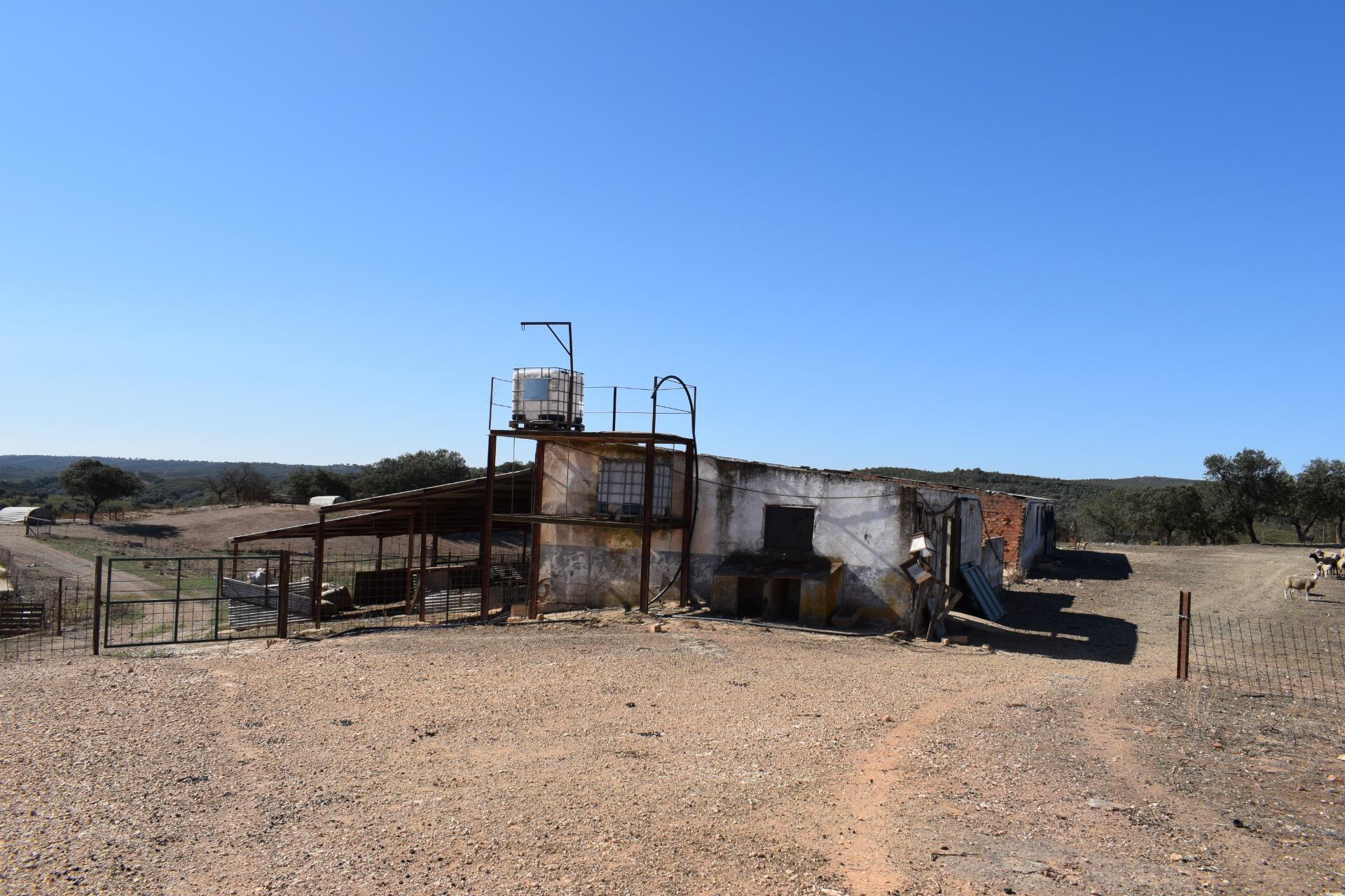 Fincas y solares-Venta-El Cerro de AndÃ©valo-976901-Foto-44