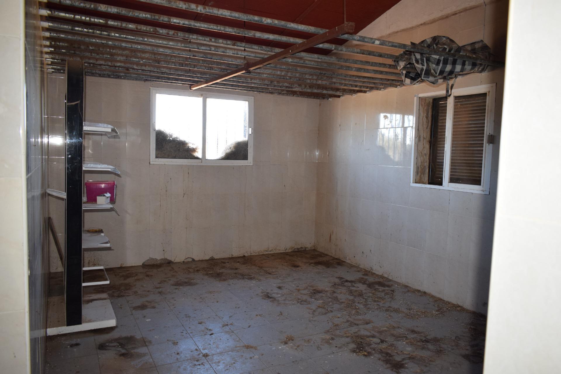 Fincas y solares-Venta-El Cerro de AndÃ©valo-976901-Foto-49
