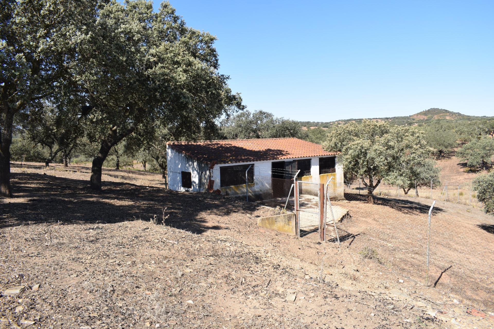 Fincas y solares-Venta-El Cerro de AndÃ©valo-976901-Foto-57