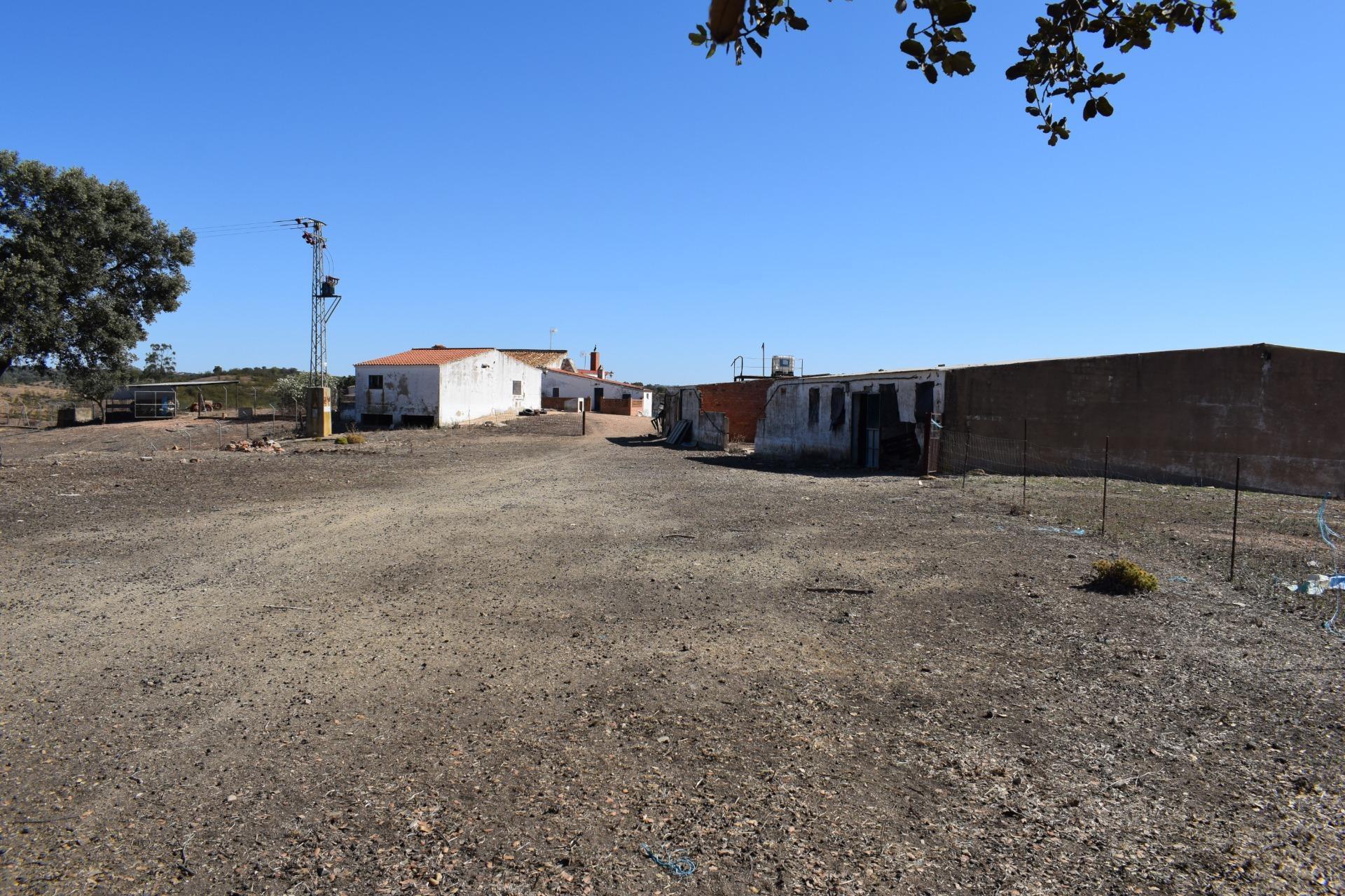 Fincas y solares-Venta-El Cerro de AndÃ©valo-976901-Foto-59