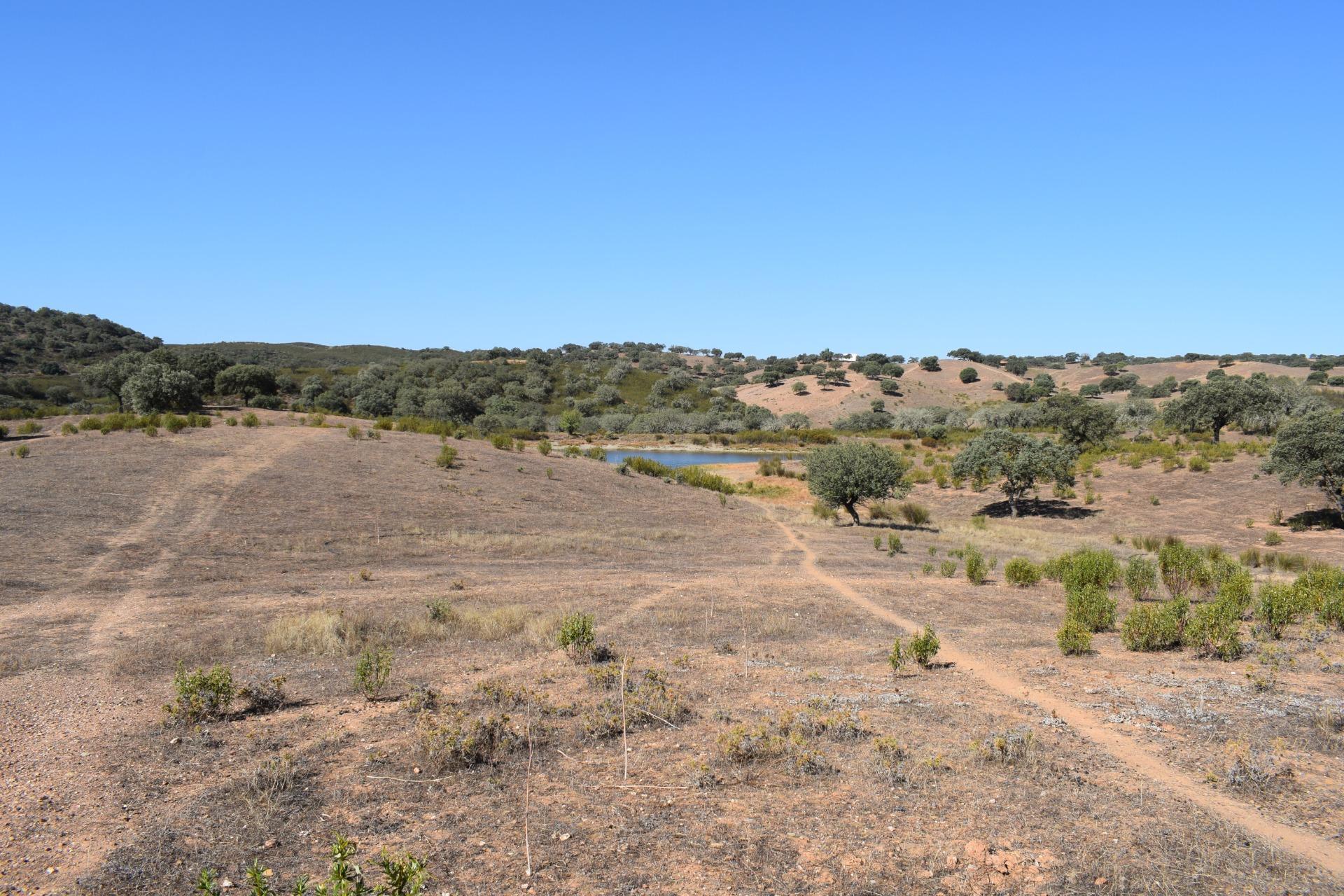 Fincas y solares-Venta-El Cerro de AndÃ©valo-976901-Foto-62