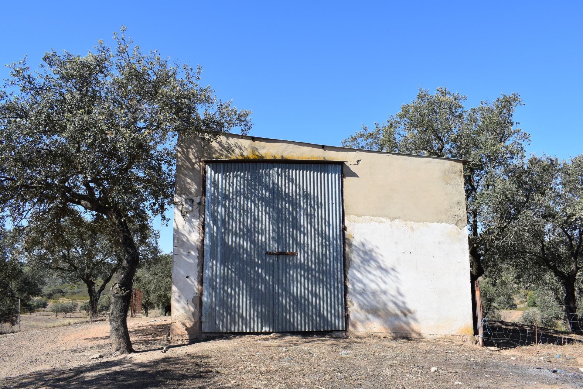 Fincas y solares-Venta-El Cerro de AndÃ©valo-976901-Foto-60