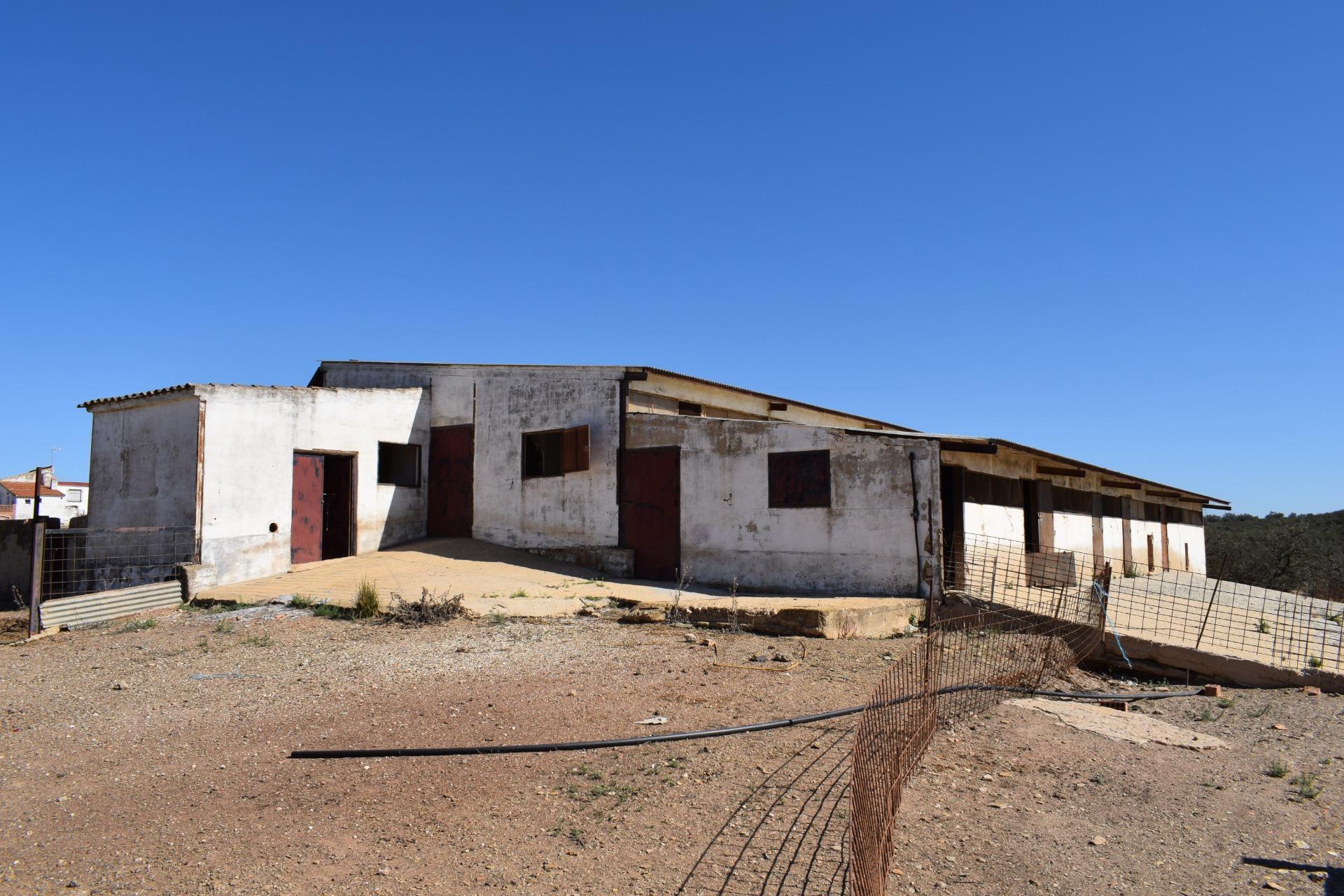 Fincas y solares-Venta-El Cerro de AndÃ©valo-976901-Foto-67