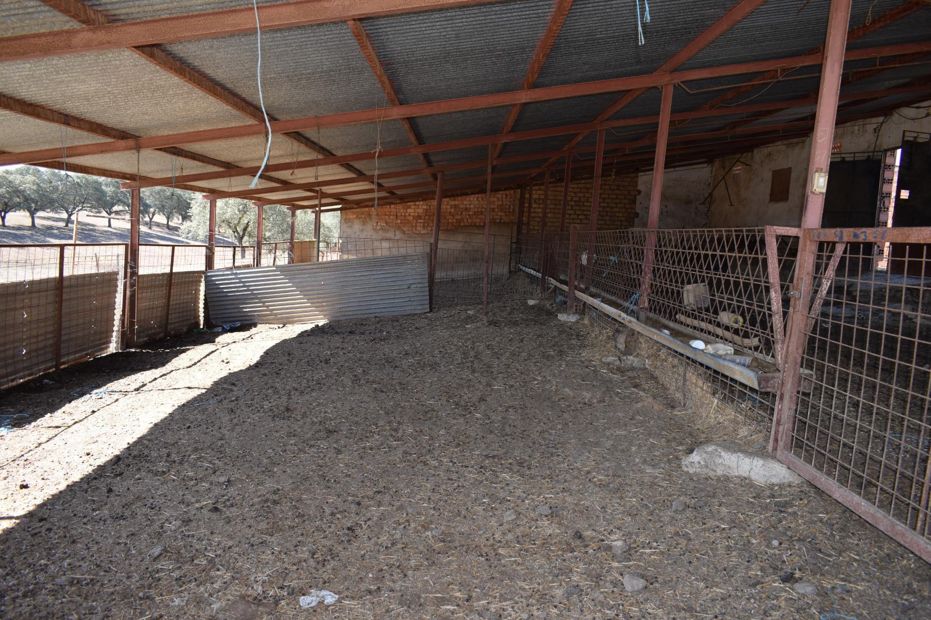 Fincas y solares-Venta-El Cerro de AndÃ©valo-976901-Foto-63