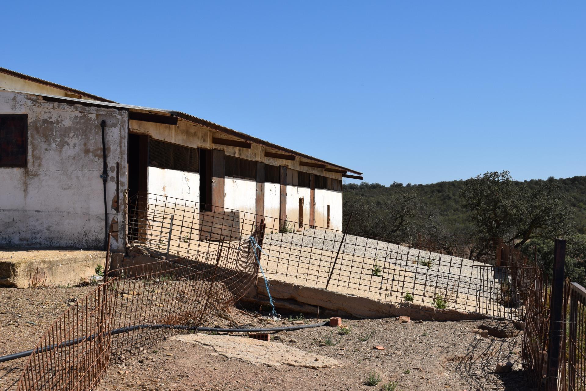 Fincas y solares-Venta-El Cerro de AndÃ©valo-976901-Foto-68