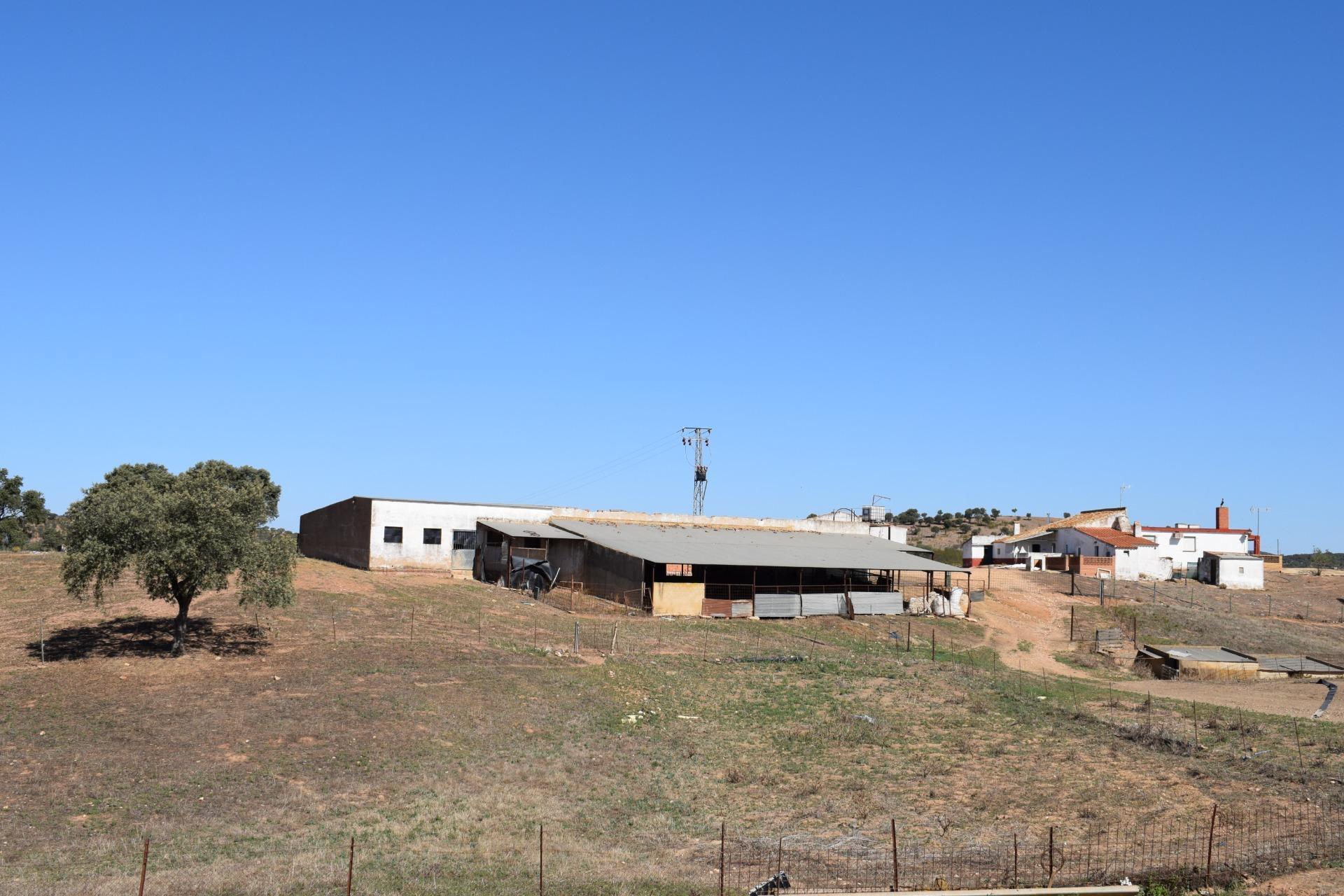 Fincas y solares-Venta-El Cerro de AndÃ©valo-976901-Foto-69
