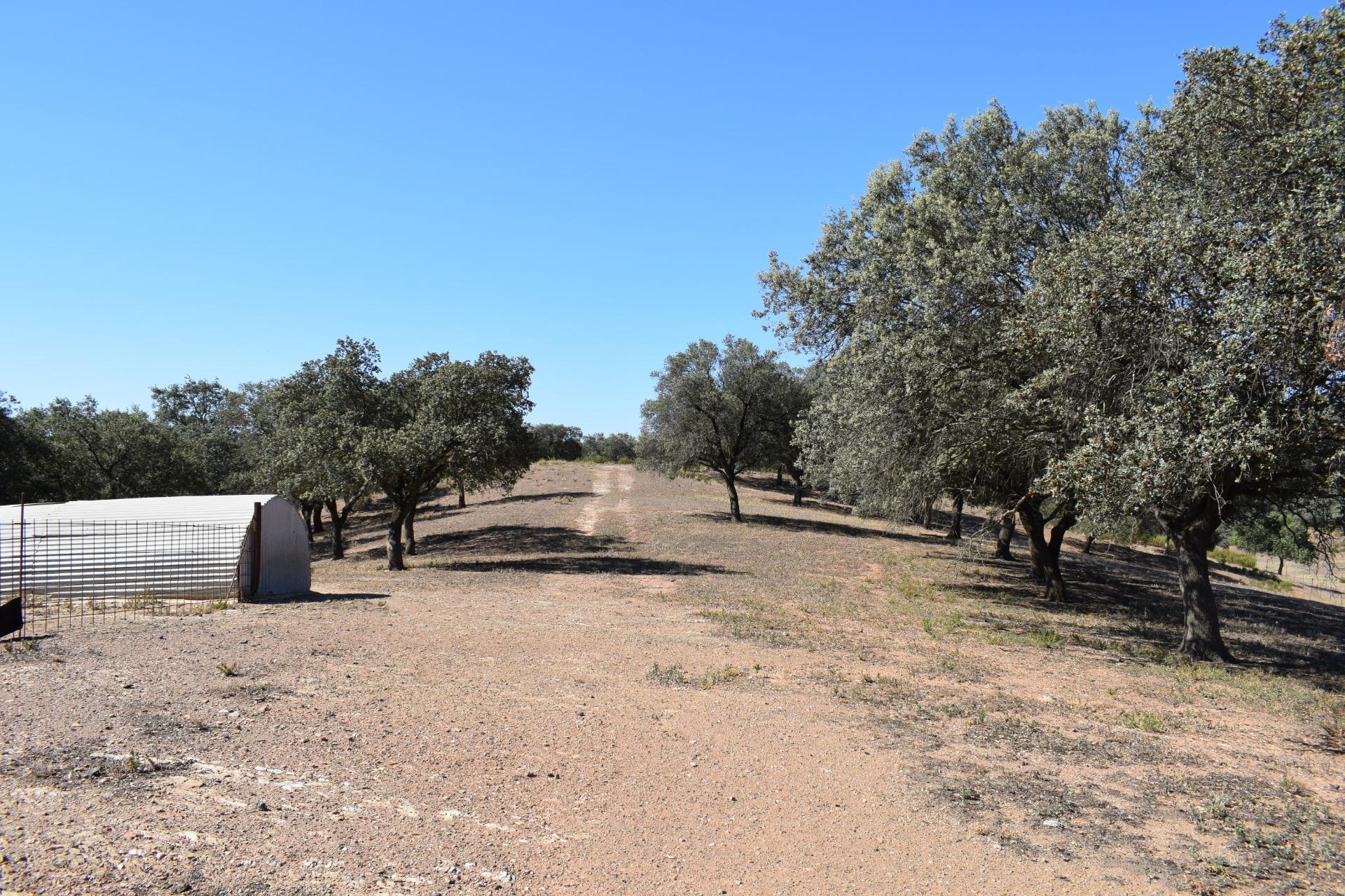 Fincas y solares-Venta-El Cerro de AndÃ©valo-976901-Foto-70