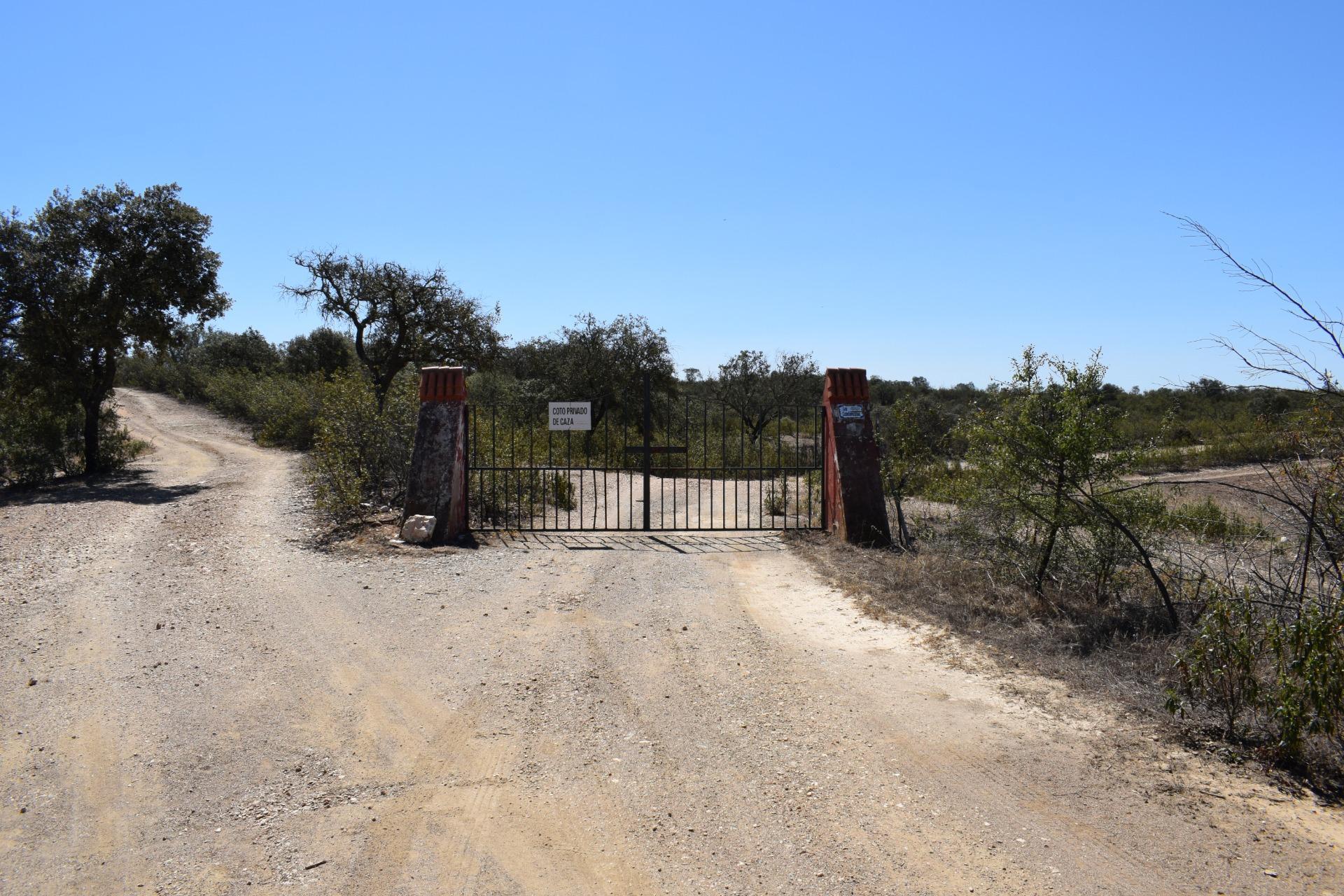 Fincas y solares-Venta-El Cerro de AndÃ©valo-976901-Foto-77