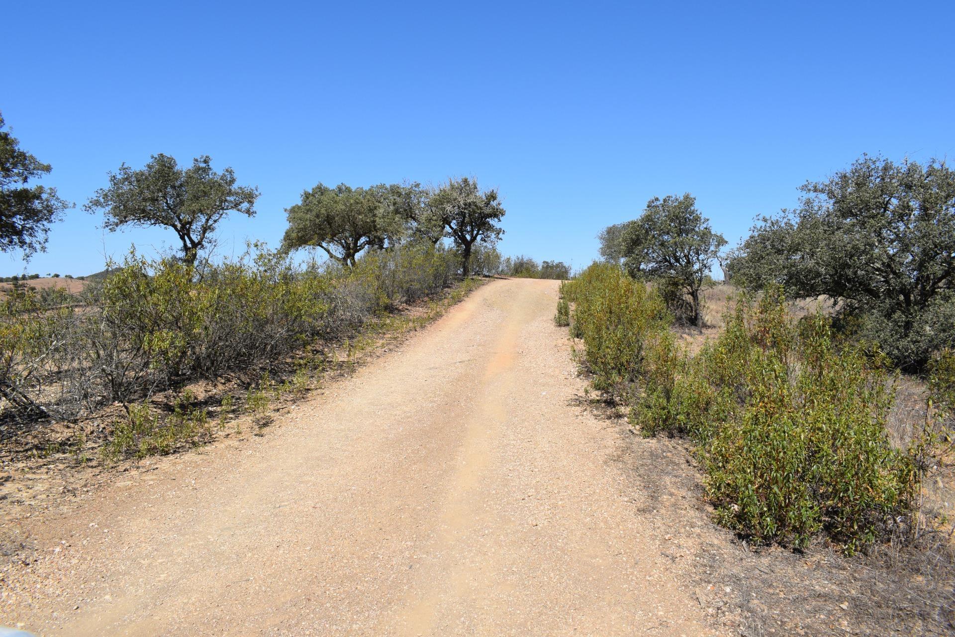 Fincas y solares-Venta-El Cerro de AndÃ©valo-976901-Foto-79