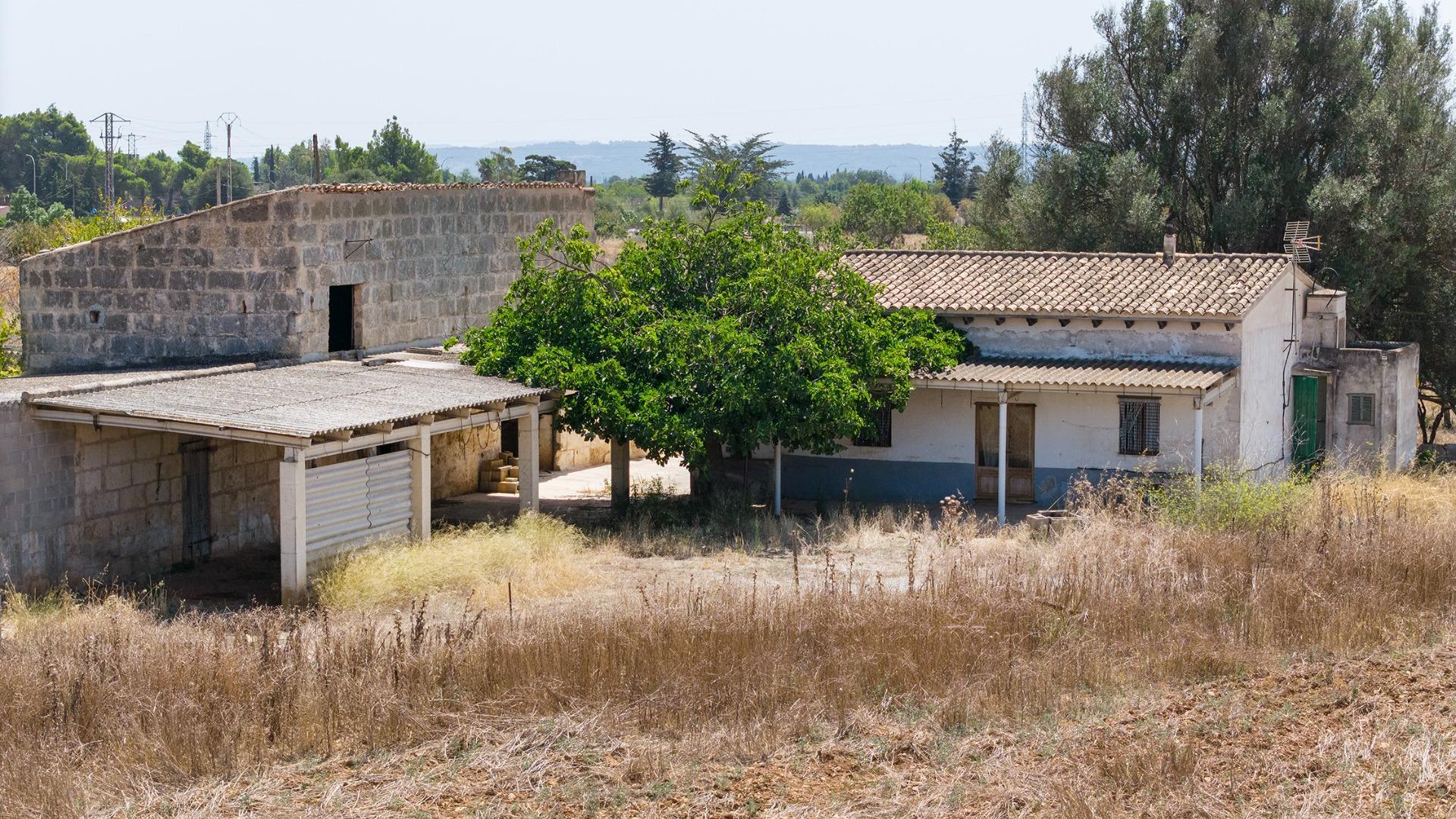 Pisos-Venta-Lloseta-1520026-Foto-10