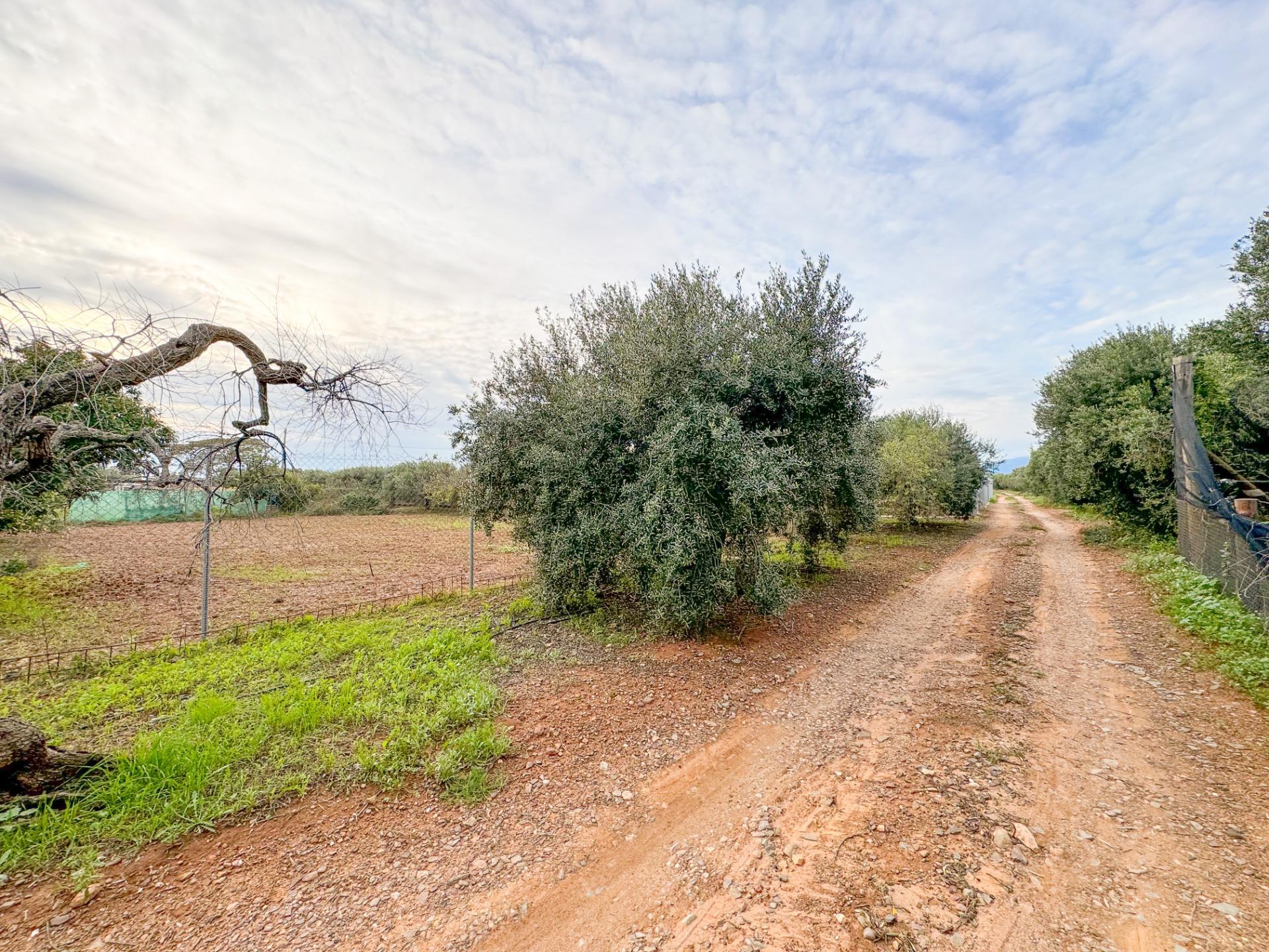 Pisos-Venta-Riudoms-1476717-Foto-18