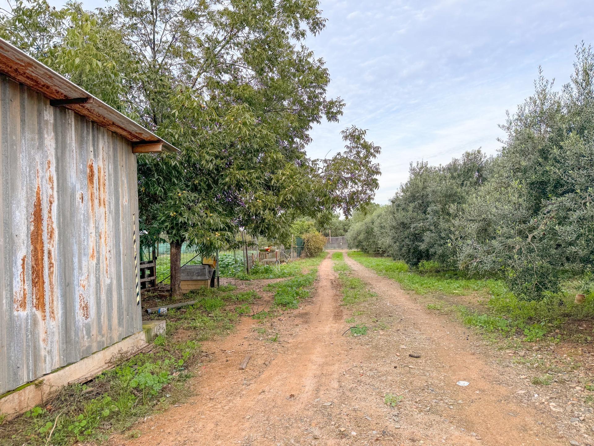 Pisos-Venta-Riudoms-1476717-Foto-19