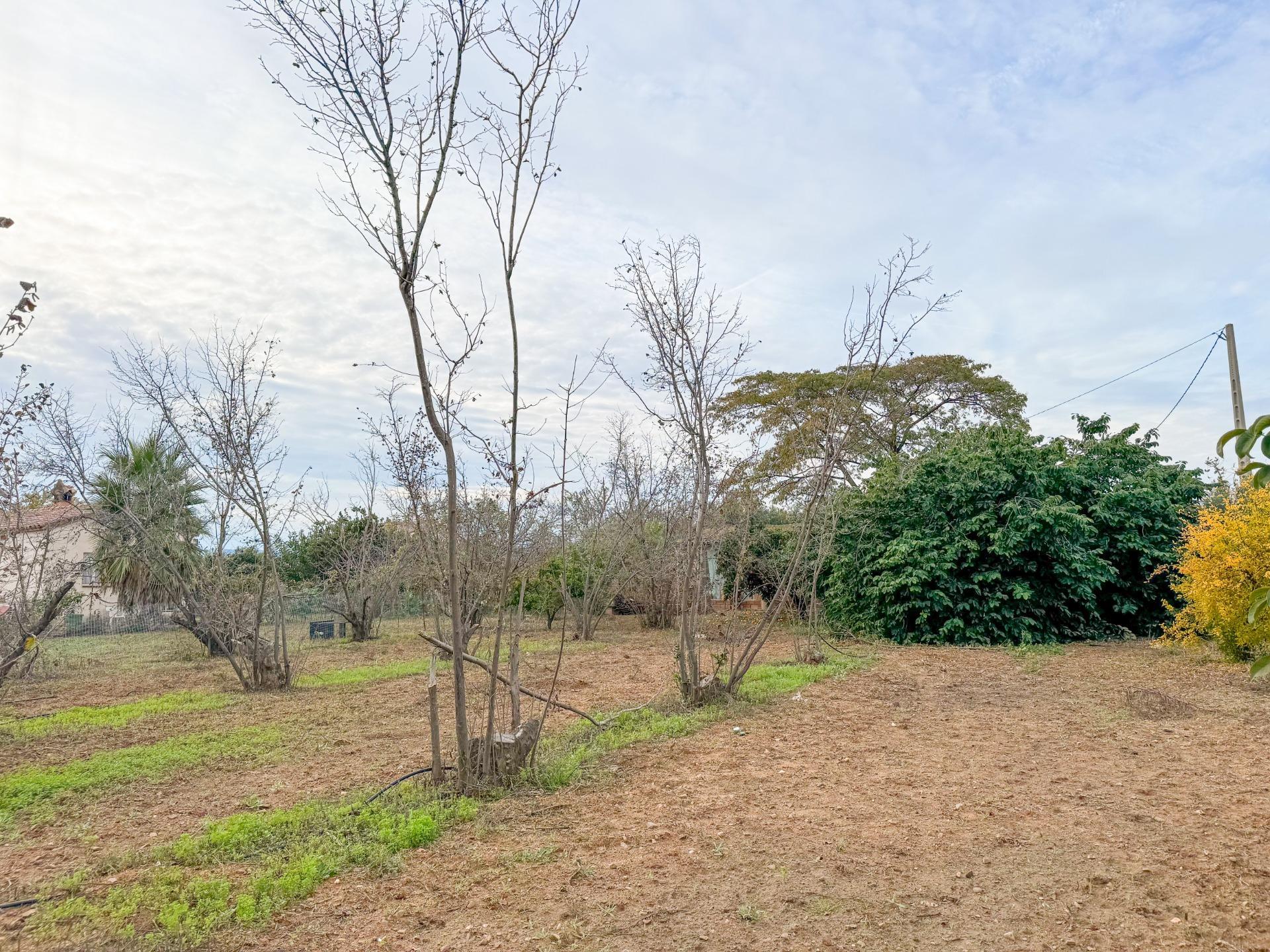 Pisos-Venta-Riudoms-1476717-Foto-21