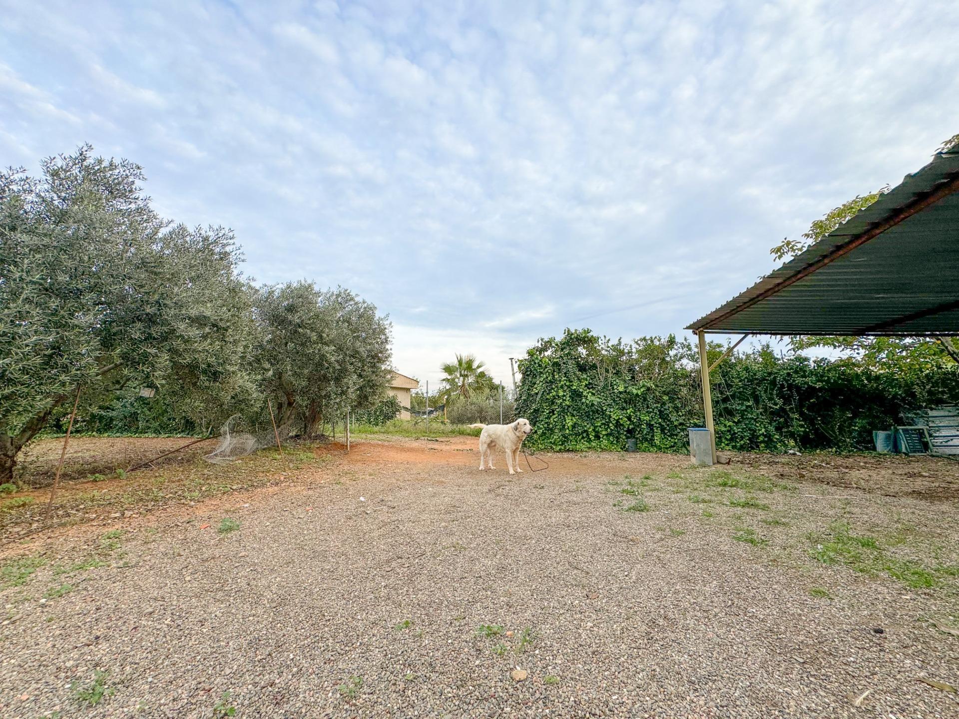 Pisos-Venta-Riudoms-1476717-Foto-23