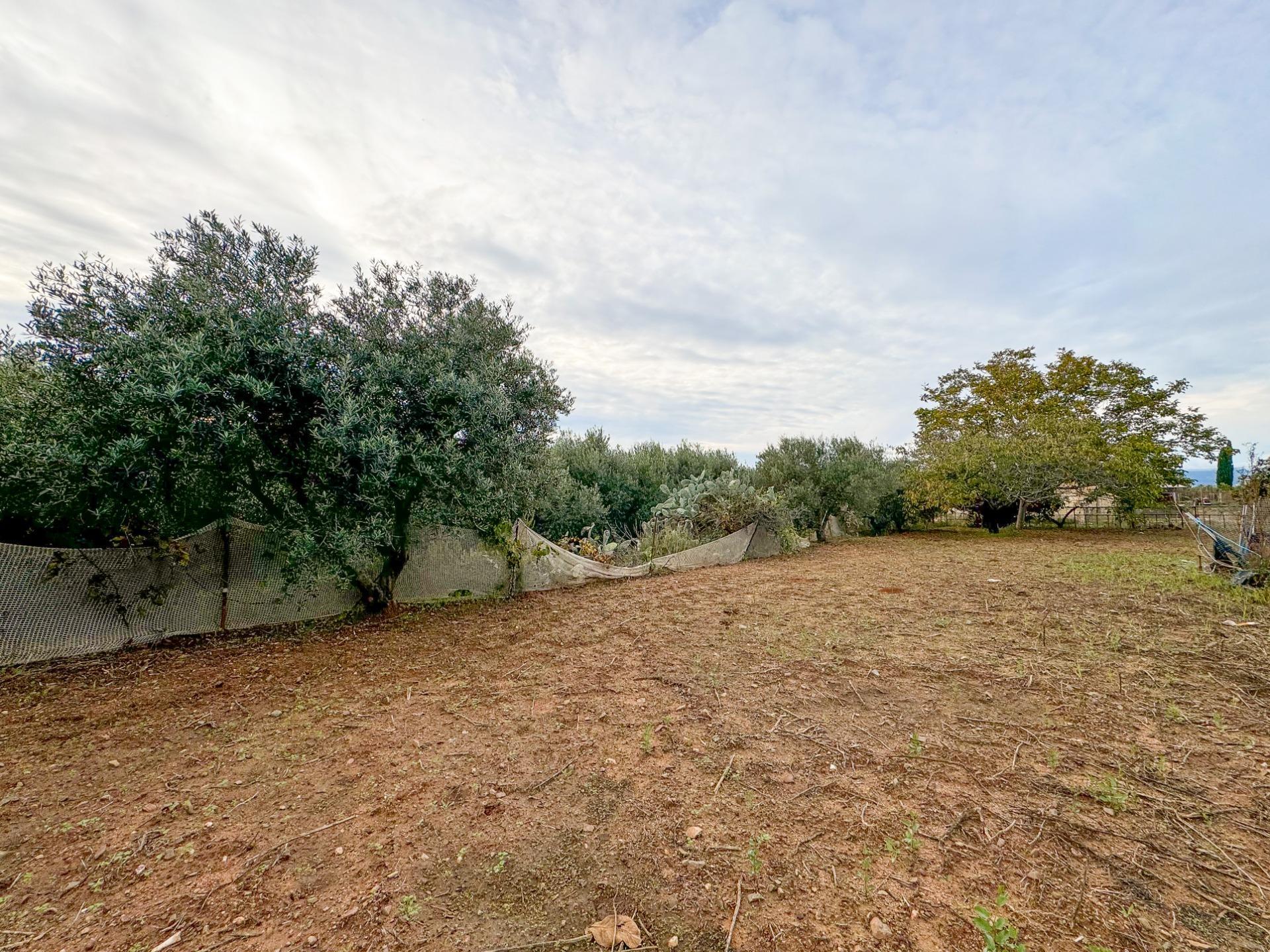 Pisos-Venta-Riudoms-1476717-Foto-28