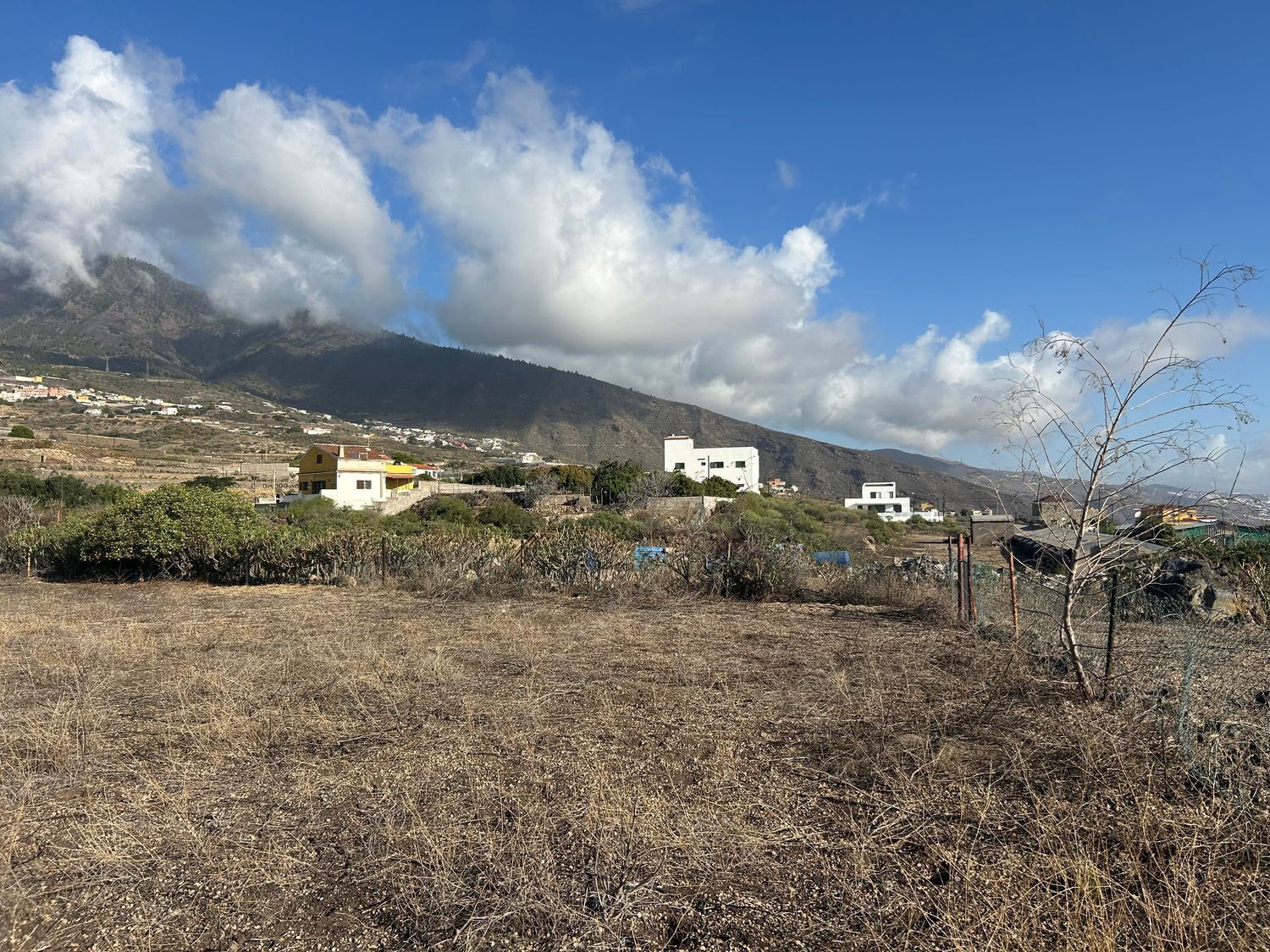Fincas y solares-Venta-Arafo-1521645-Foto-3