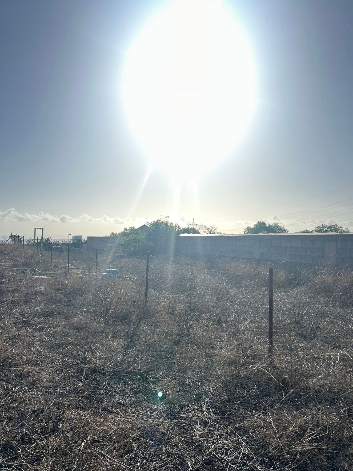 Fincas y solares-Venta-Arafo-1521645-Foto-16